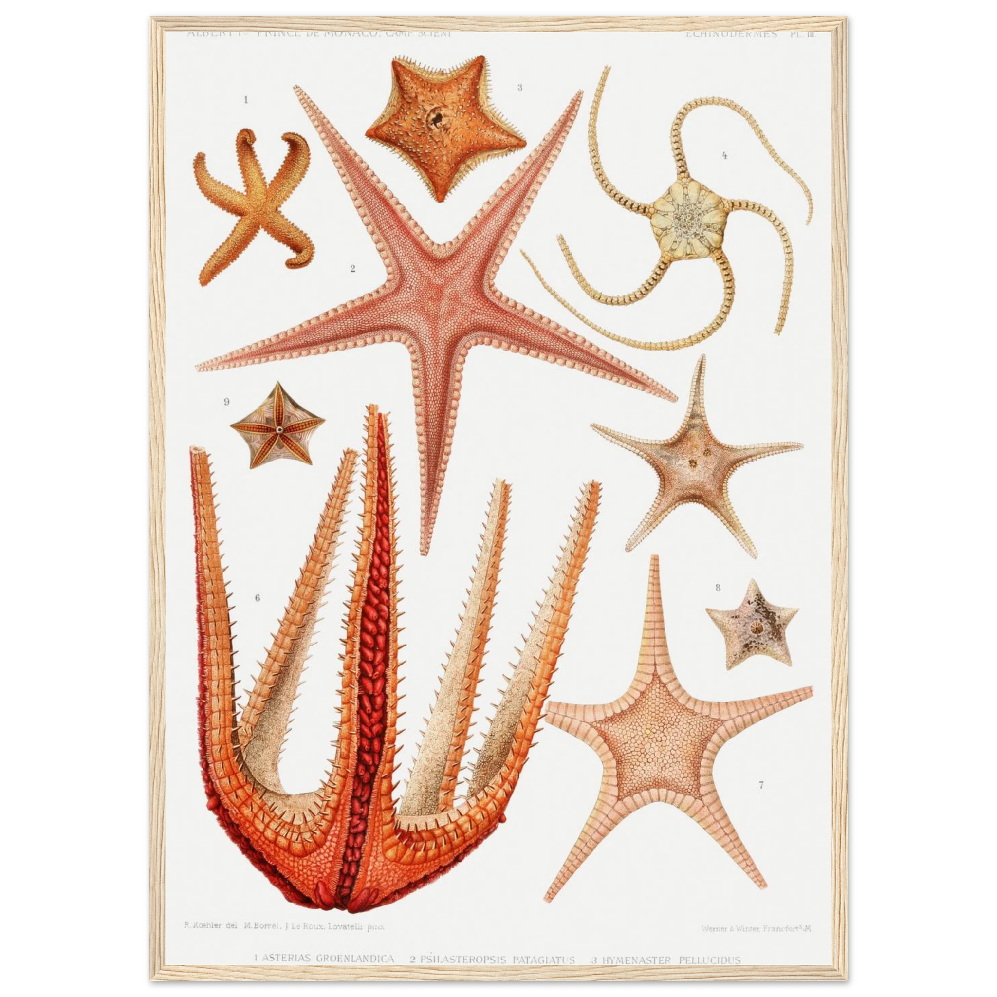 2f8aeee0-48ef-419a-ac70-50f68c5c8831