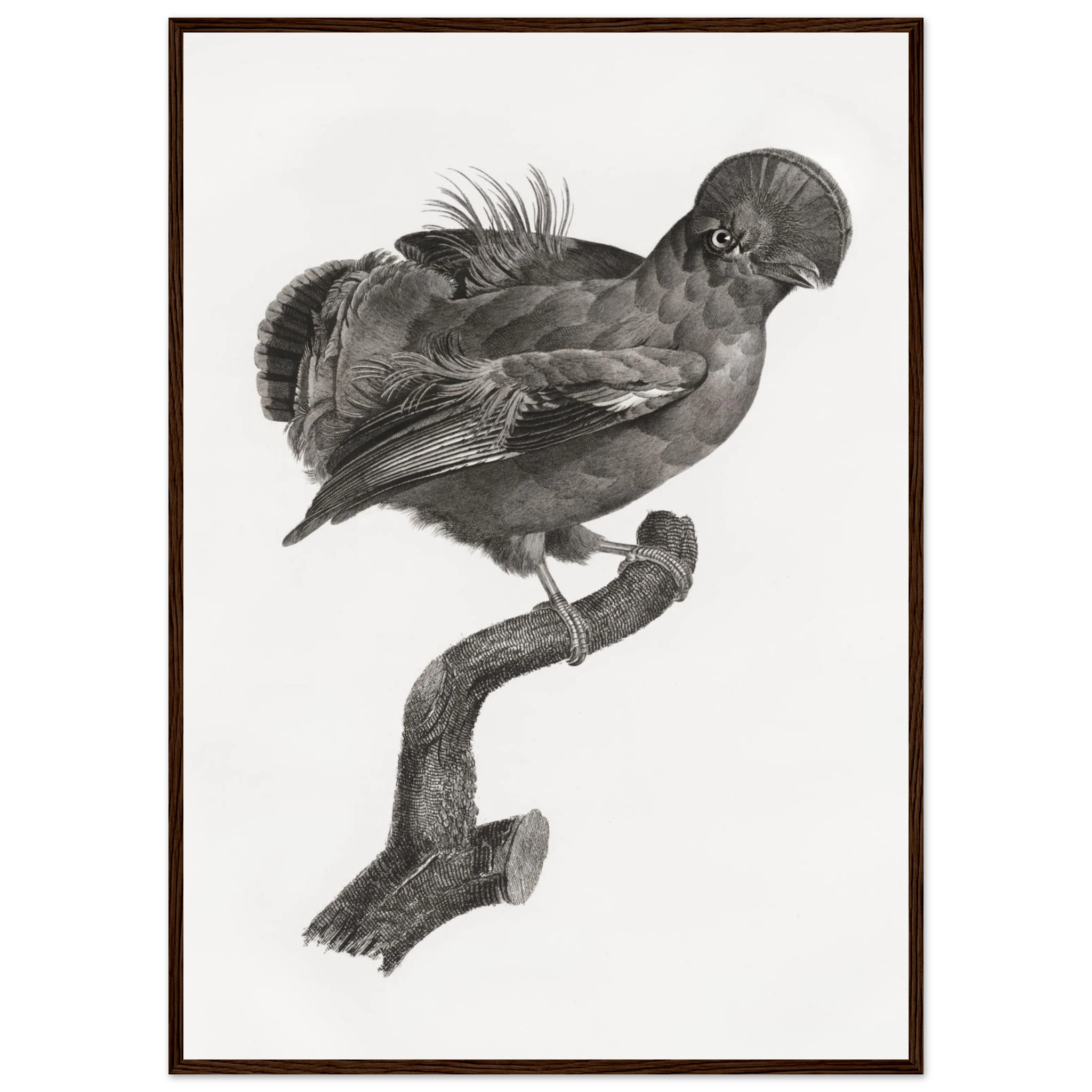 2f9871b7-b15c-4af4-a37f-435fef7659a5