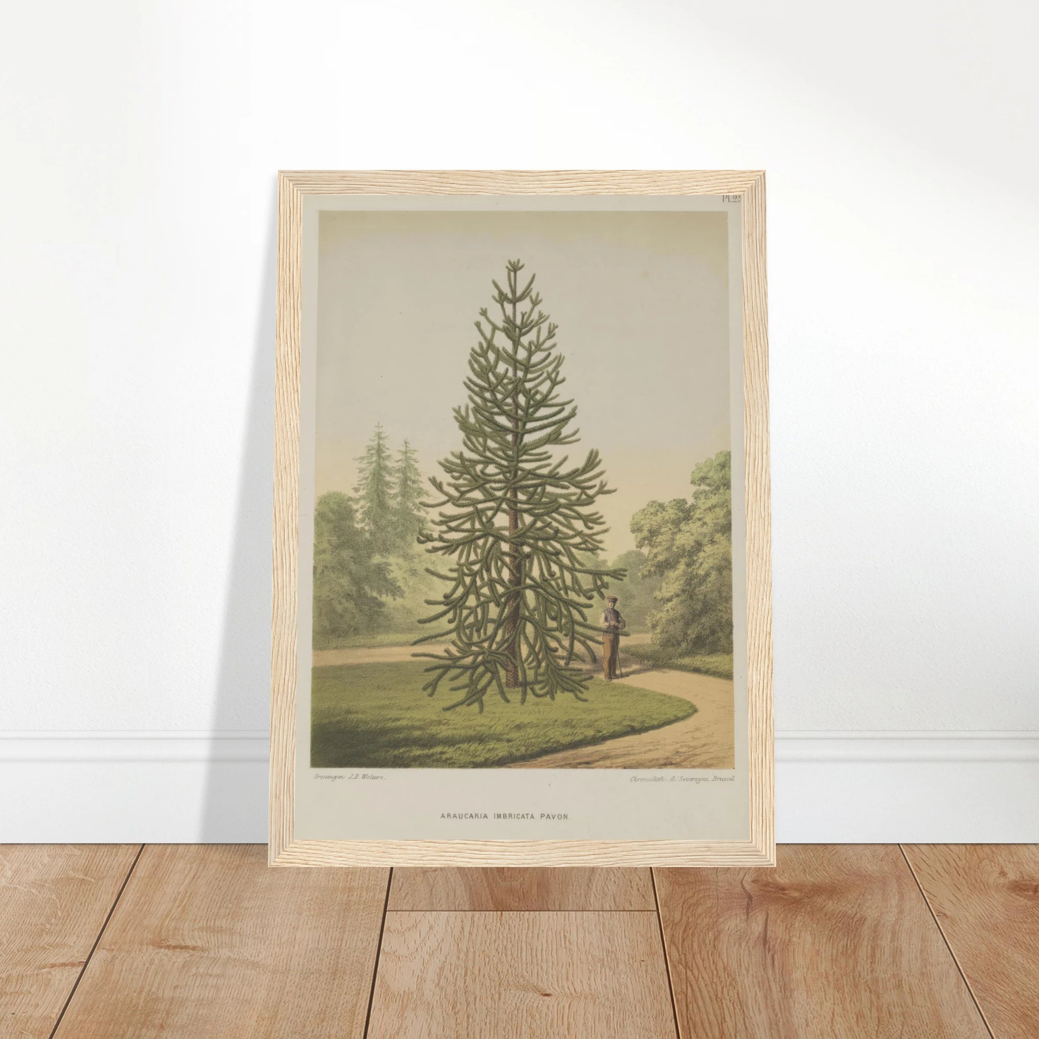 2faabebe-158f-44aa-b8ac-3f661dc2985d