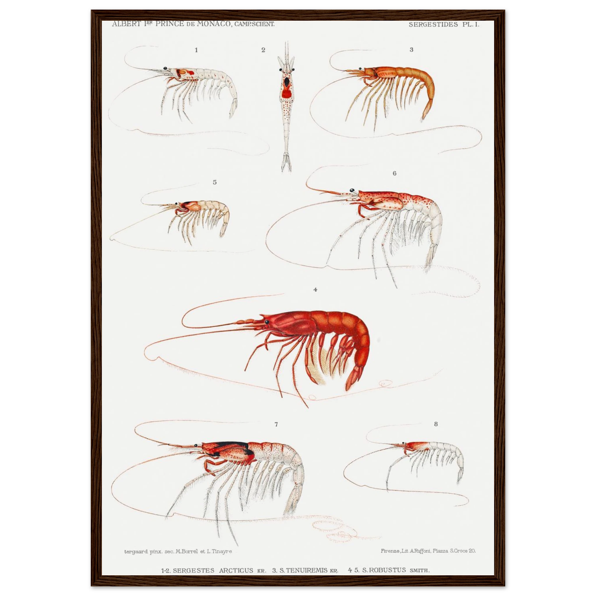 2fb38b2f-2e00-4936-81b8-417b901e6232