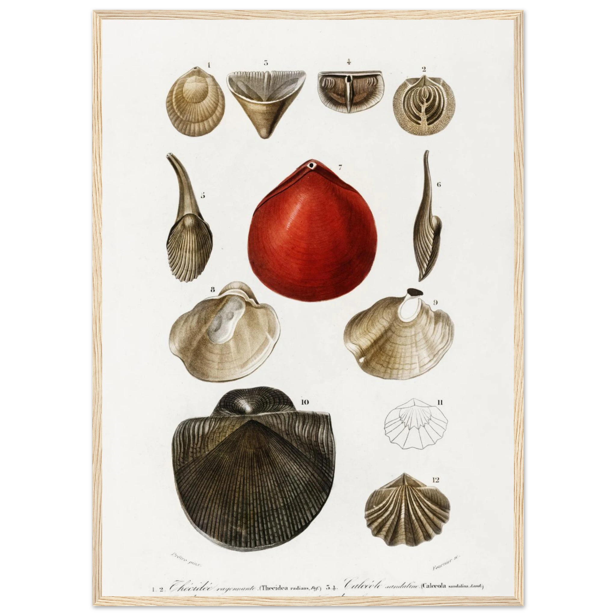 2fc27aa9-ad63-4ec0-be6c-0a6e45ff4fb4