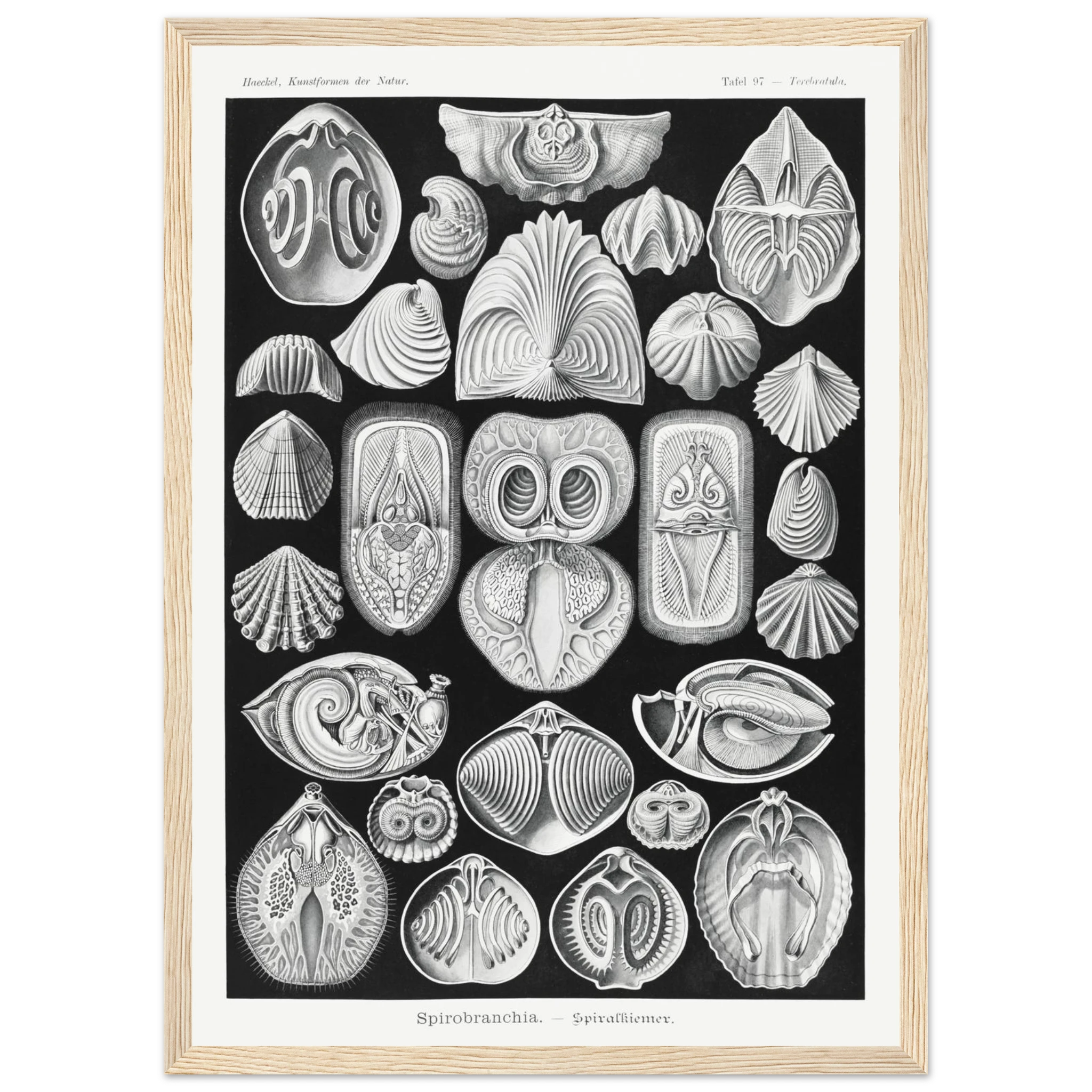 2fcdf2ad-90a8-438c-a1a6-04629742d0b3