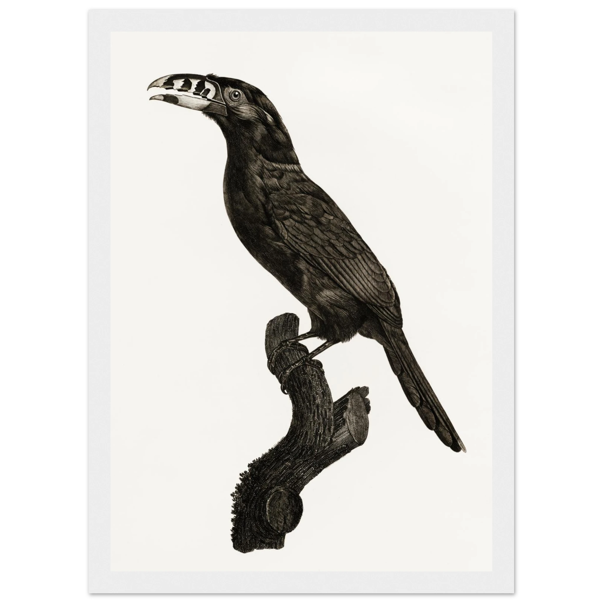 2fe4722f-7b09-40a1-88a5-a72582071849