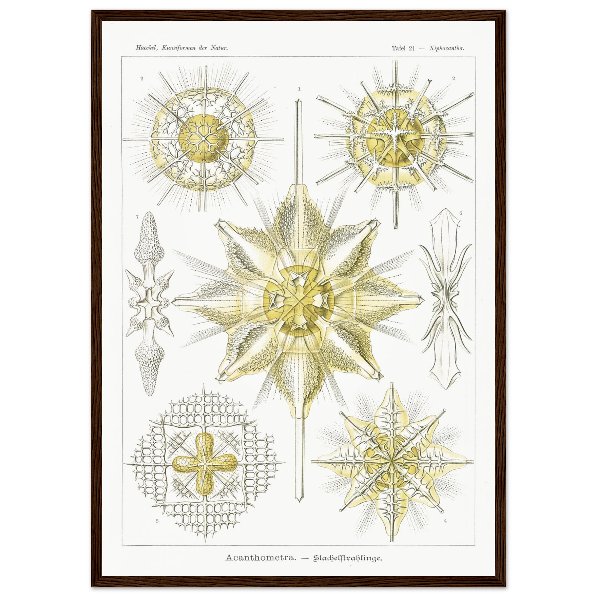 2ff5c1a9-879d-4e59-9700-cb9ae9a65d0c