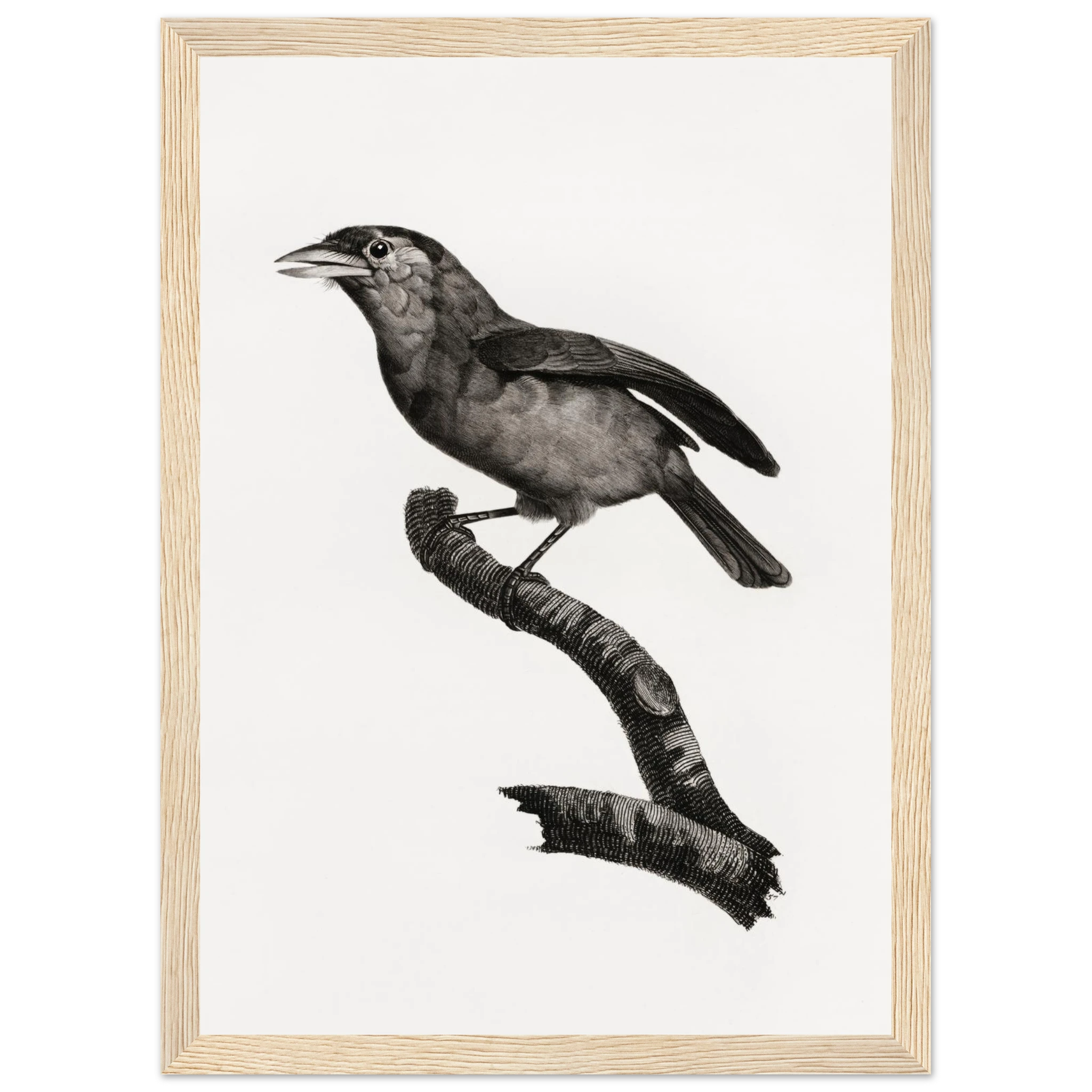 303ee812-2a80-4b6e-9893-a40e2a1f91c8