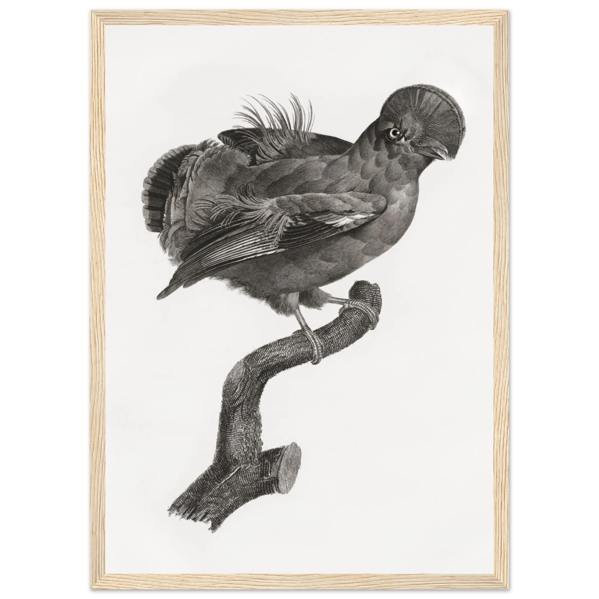 3046303a-d36b-49d7-9cdb-dc2024725cd8