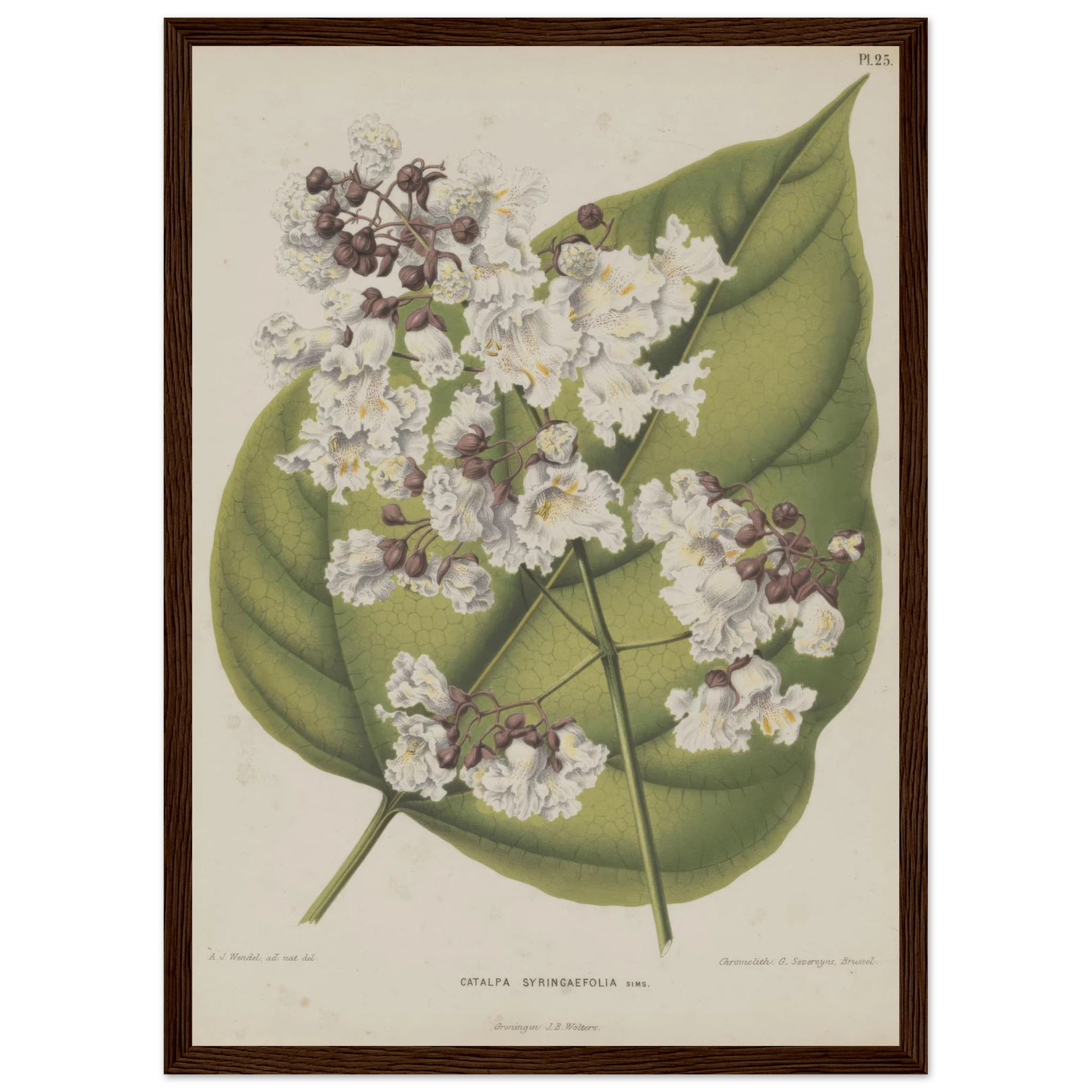 306db53b-9412-4f72-9776-93901a508d86