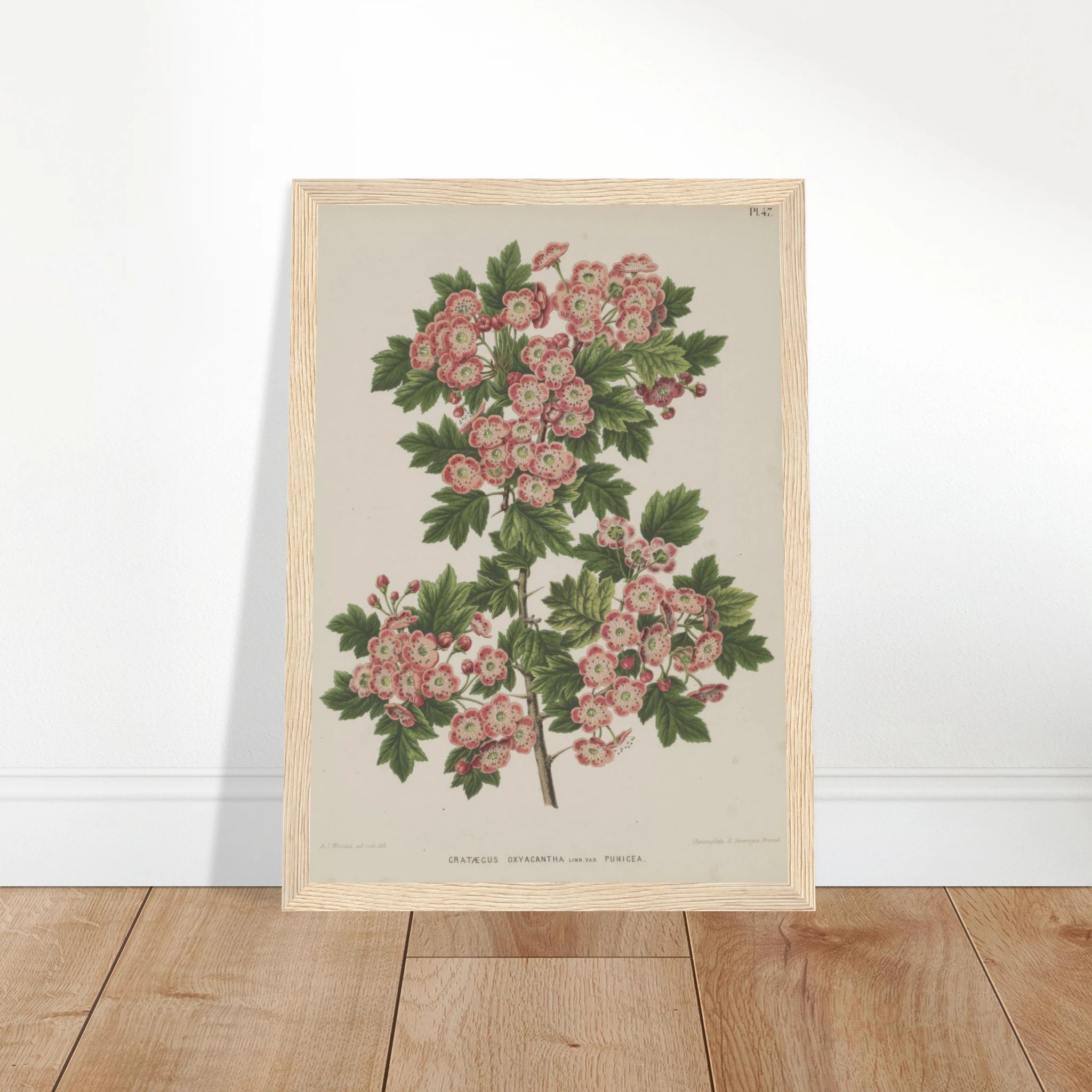 31131af5-bd2e-4177-8feb-1e1aa5de398f