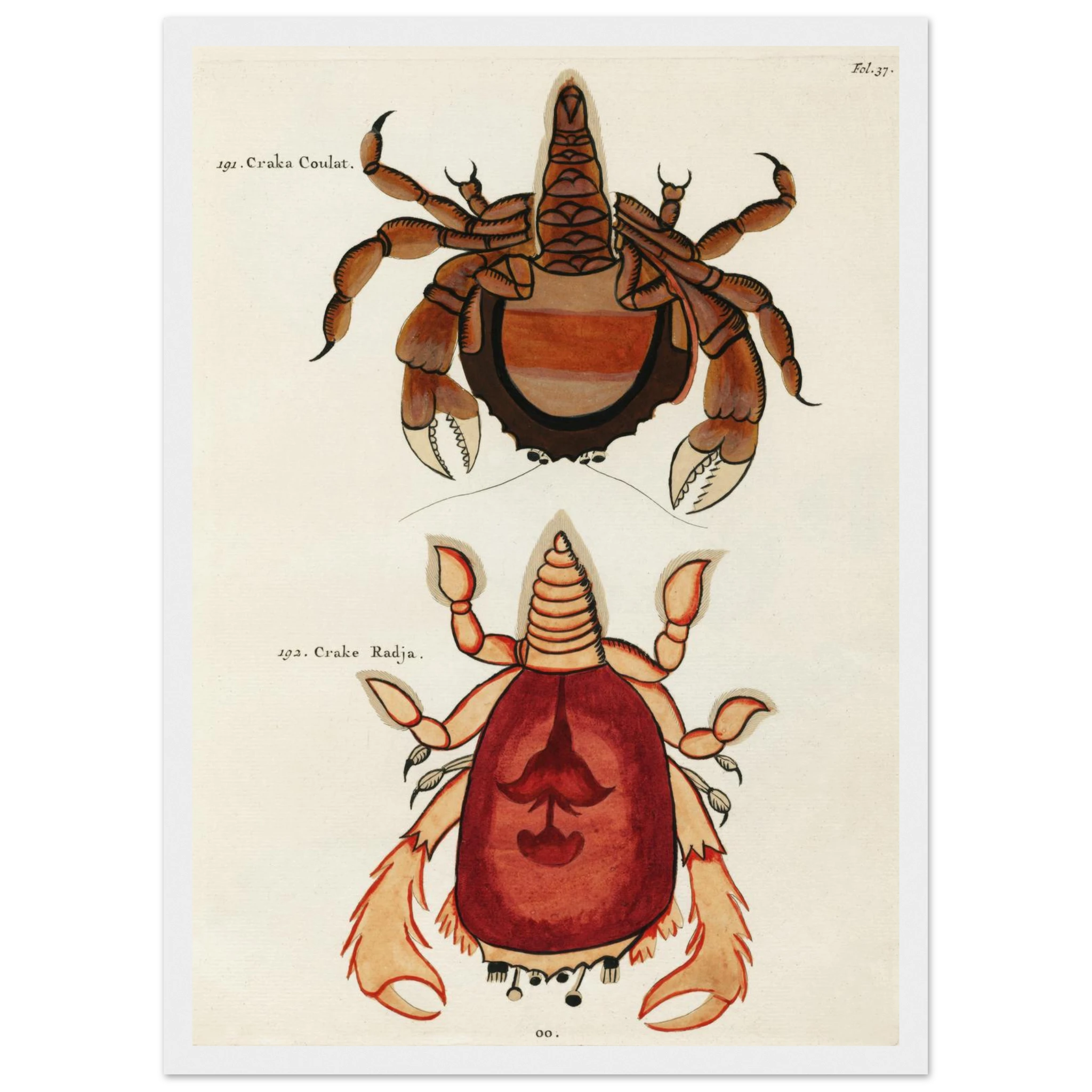 3129978f-e243-47e3-b299-c4e040084a85