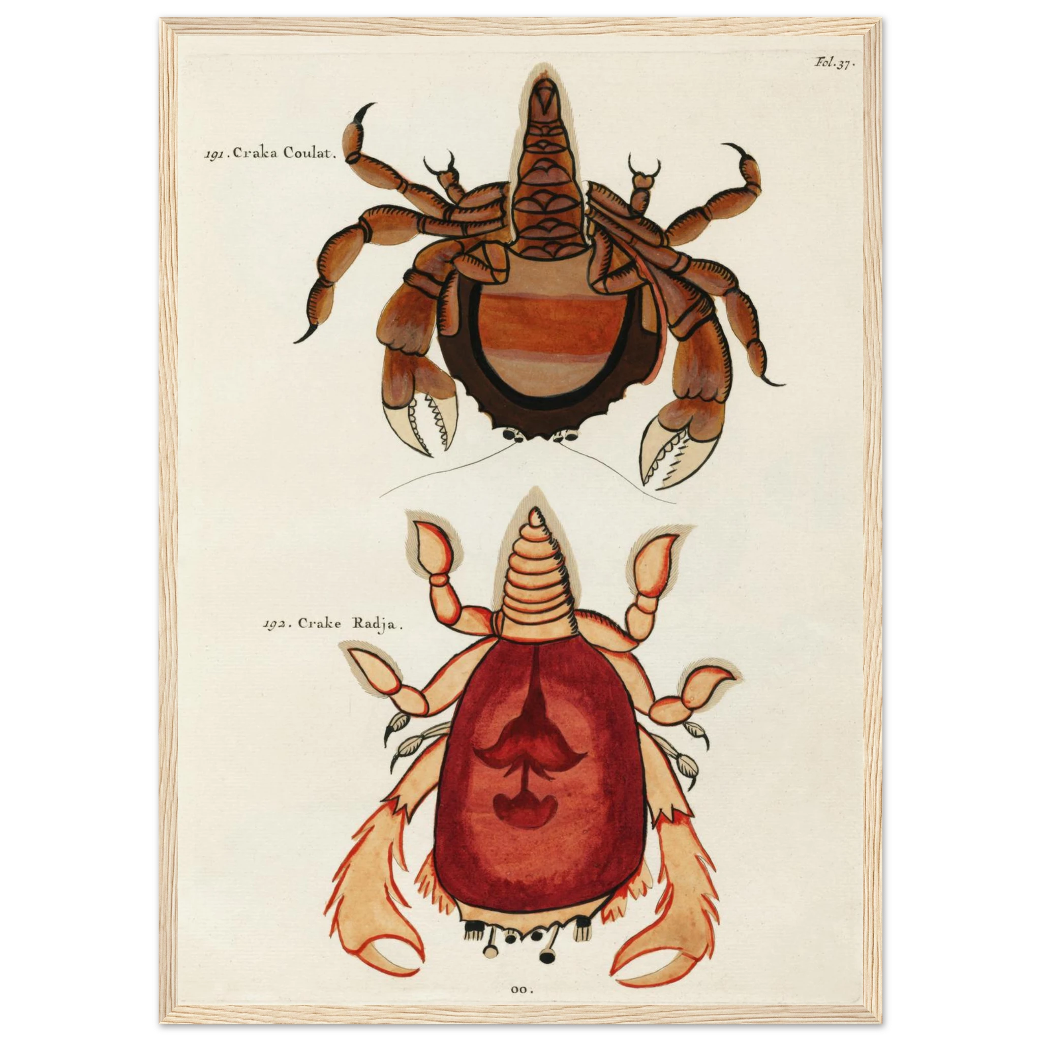 316e6d93-091b-4de9-9d42-138fa8bcf1b8