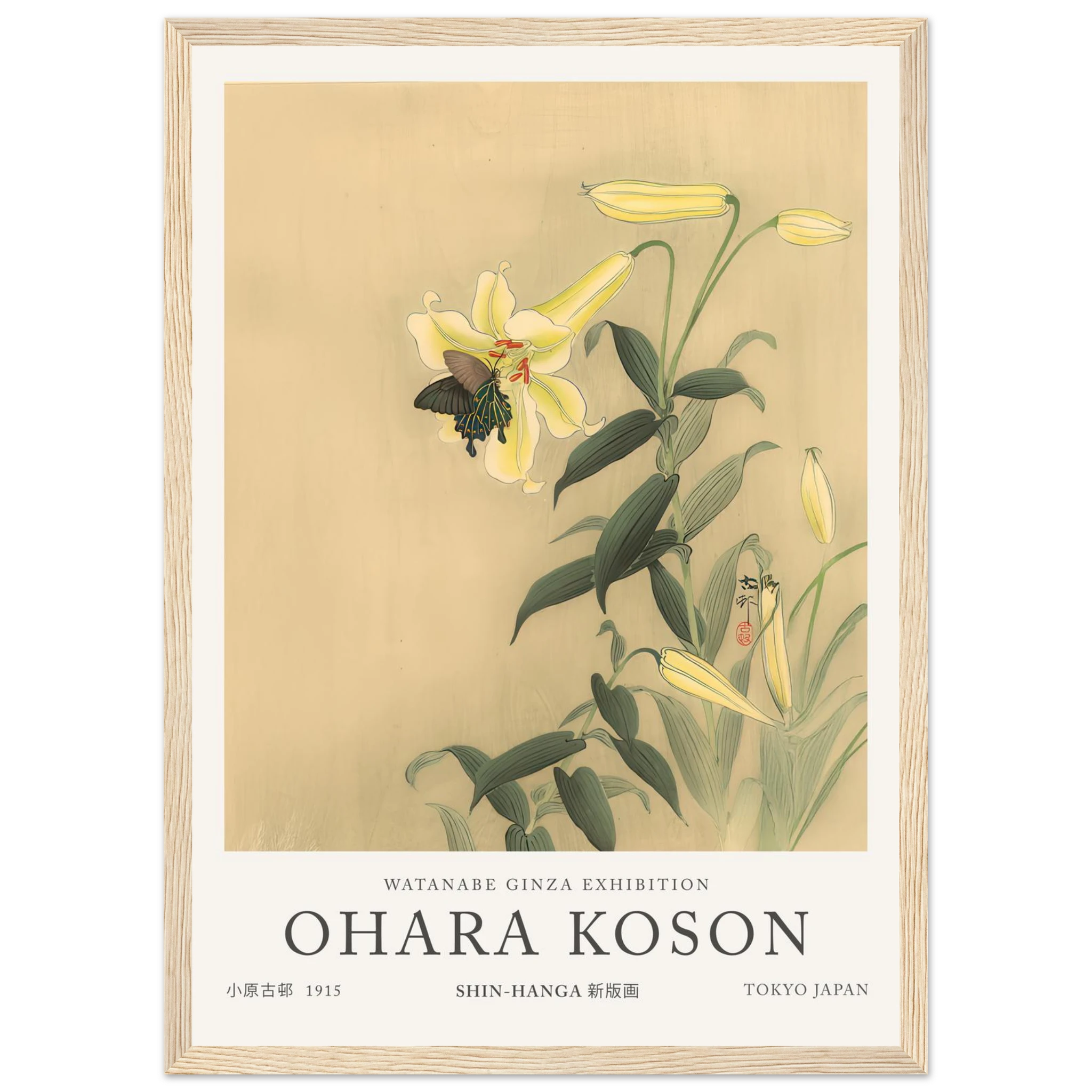 3177118b-2118-4caf-9c49-abf49ae87474