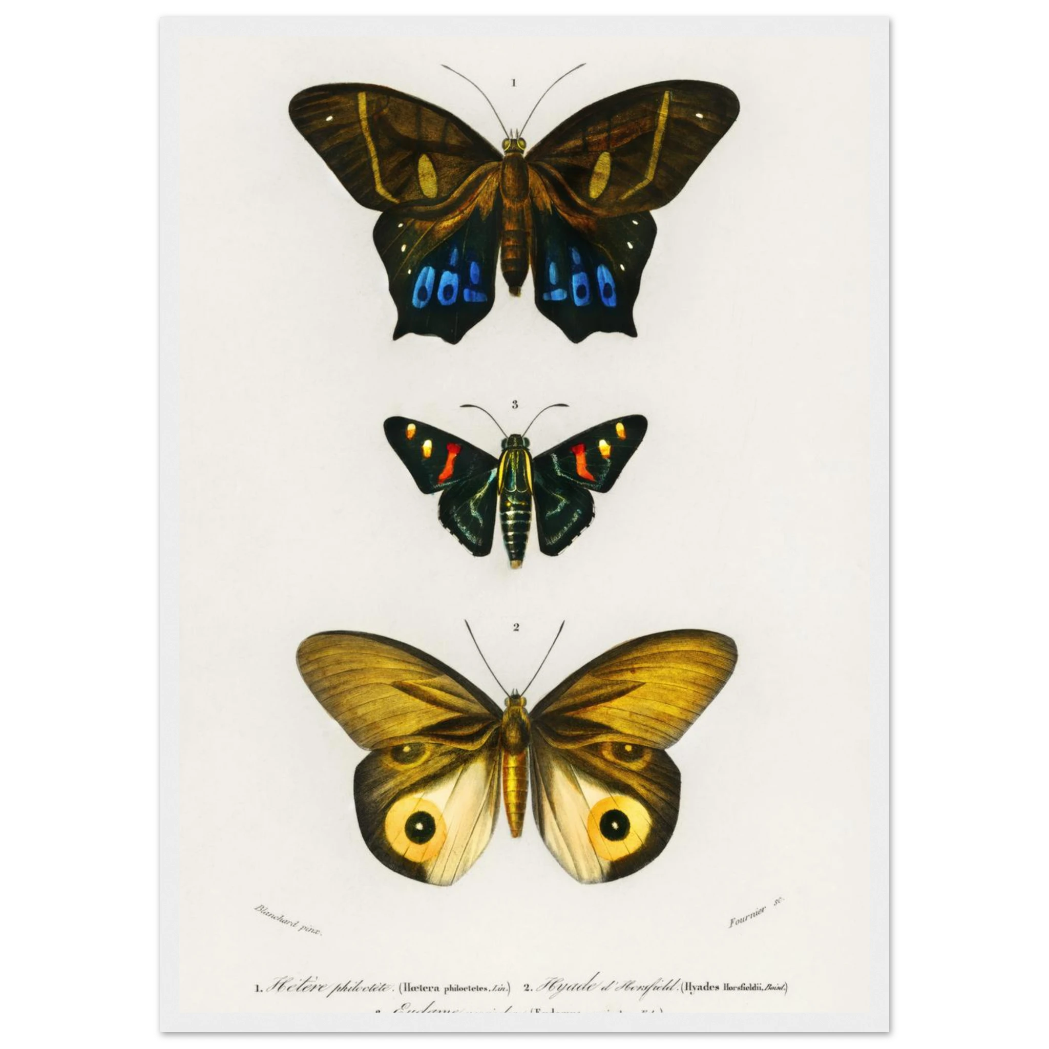 31ad96f0-ff08-48bd-8e38-726e4d79347b