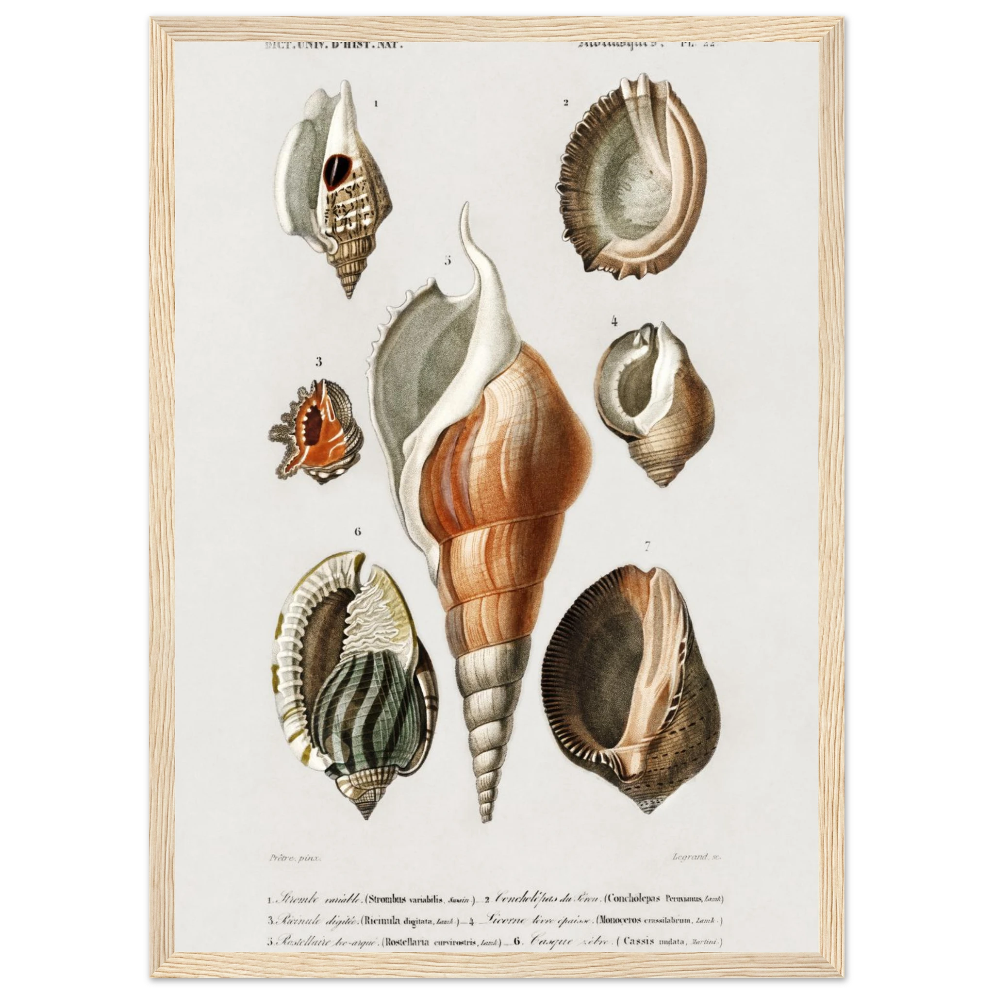 31bc4334-c60c-4d25-b2d4-9e77594bdefb