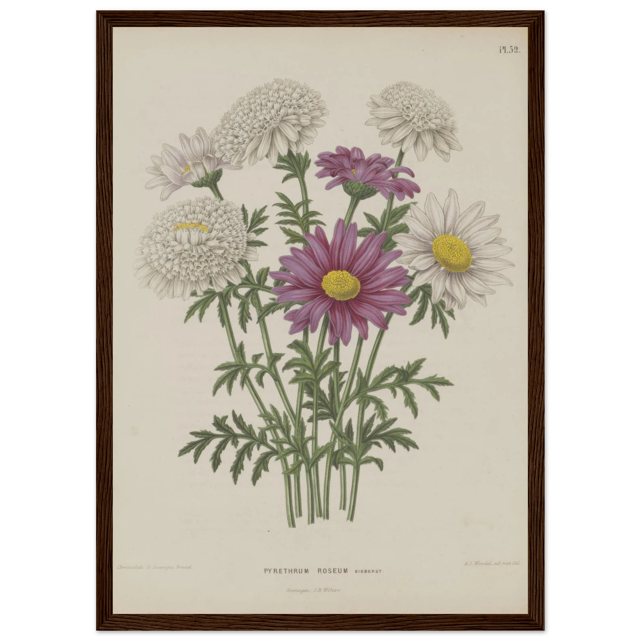 31c84f6c-d818-4f3f-820b-26066d8f3ec4