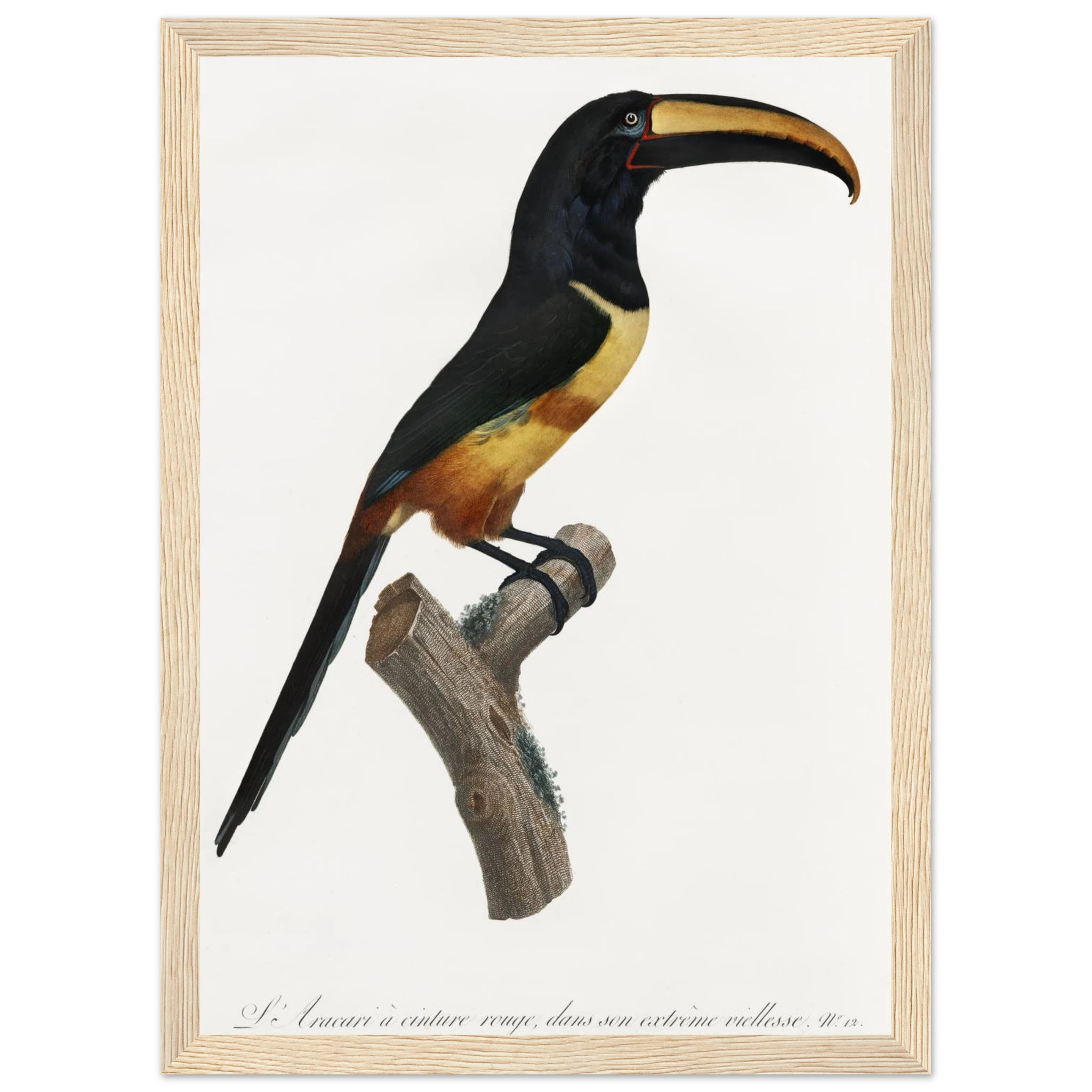 31f0544e-593c-4e22-87a2-7b14ca3e5750