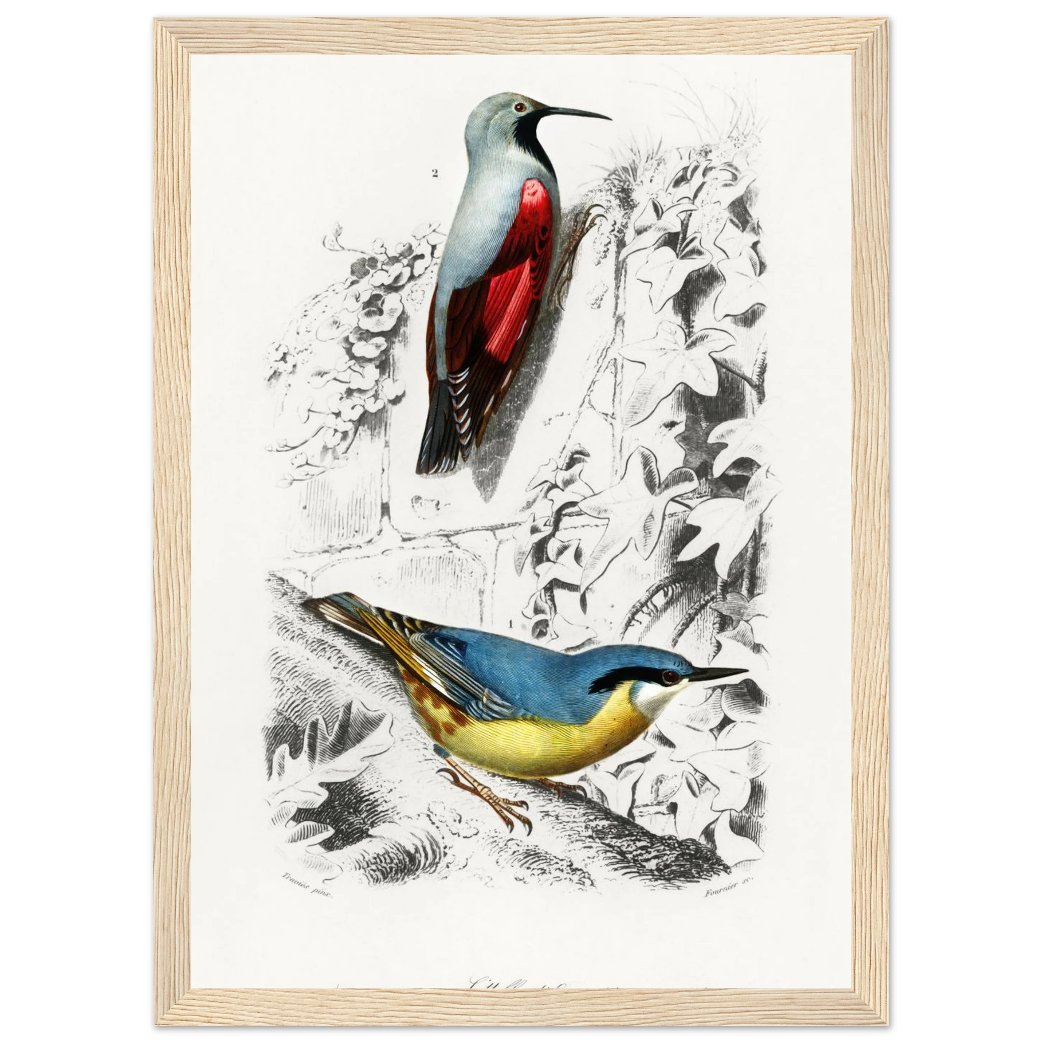 31fa9337-1bea-4cb6-be9f-f25855a0cd3b