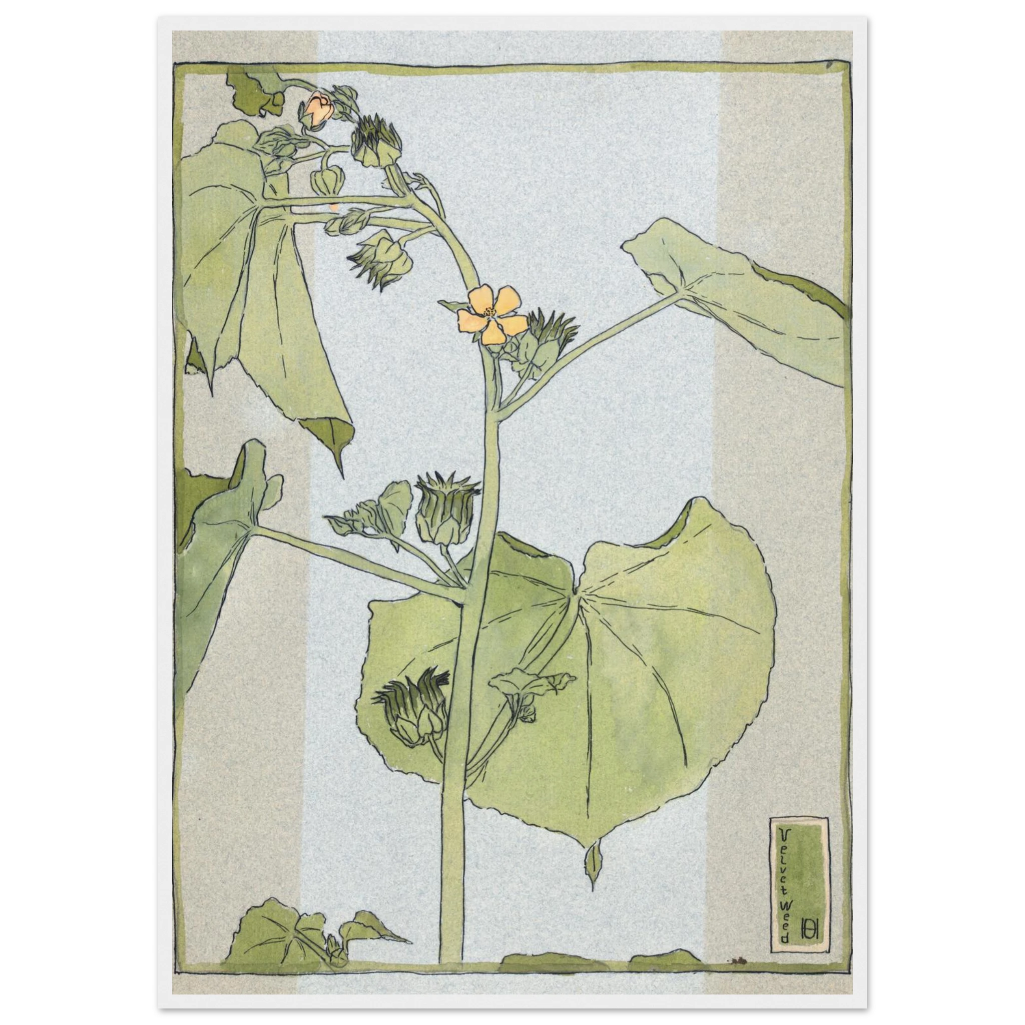 320aeed1-05b5-4267-82d7-93ea7f9356e5