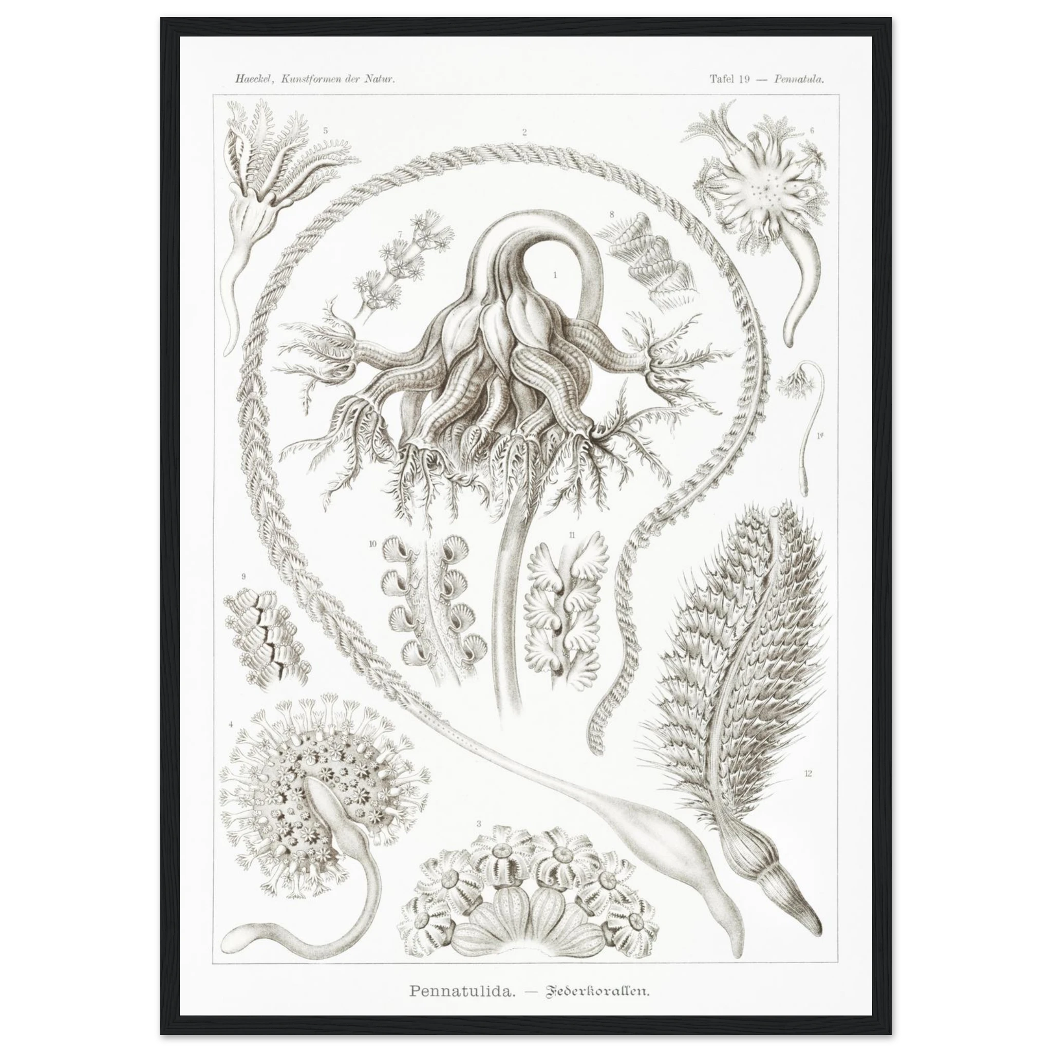 32741a6d-ad5d-416e-bfb6-147289e199f1