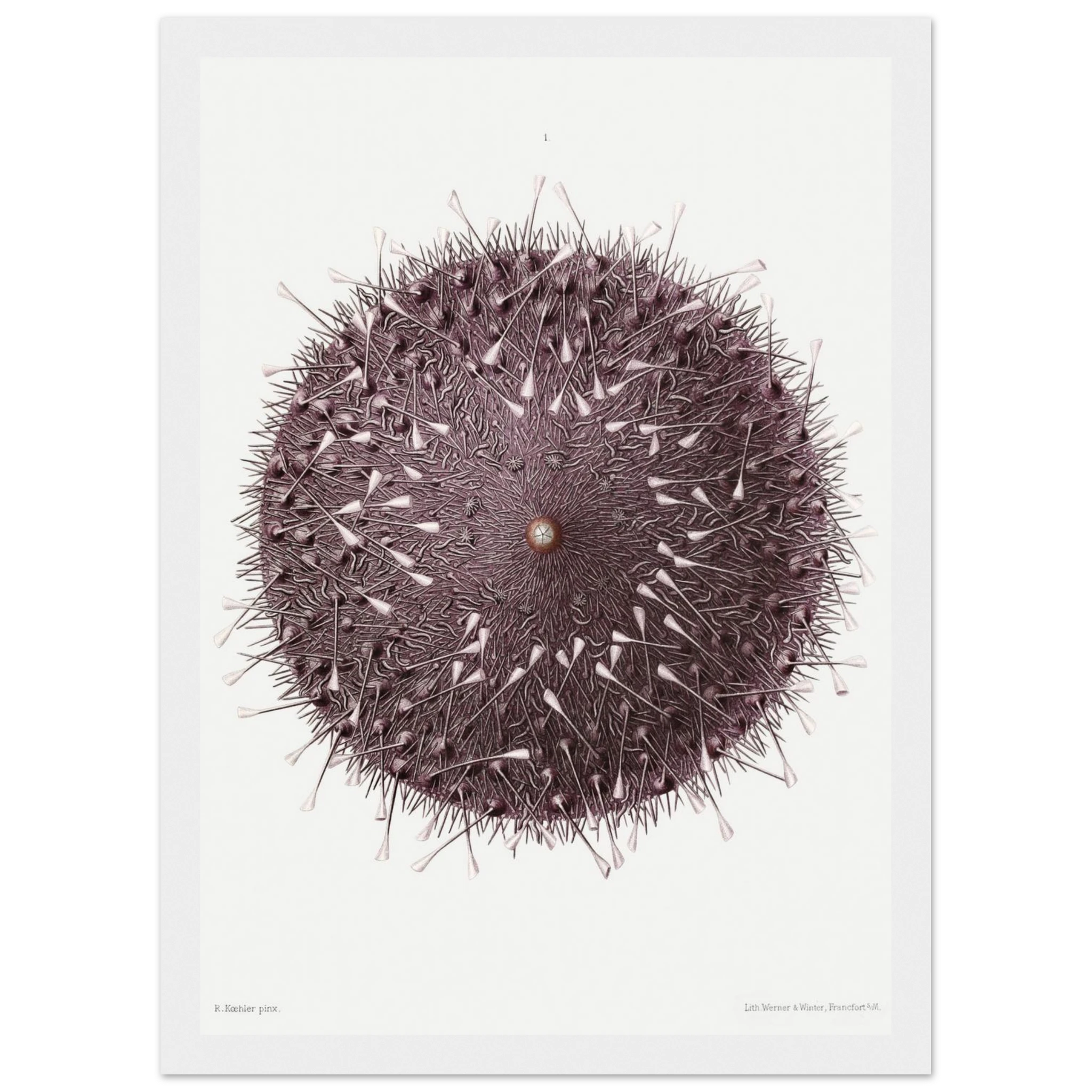 328272fc-a172-4672-9009-3bacab9e9b26