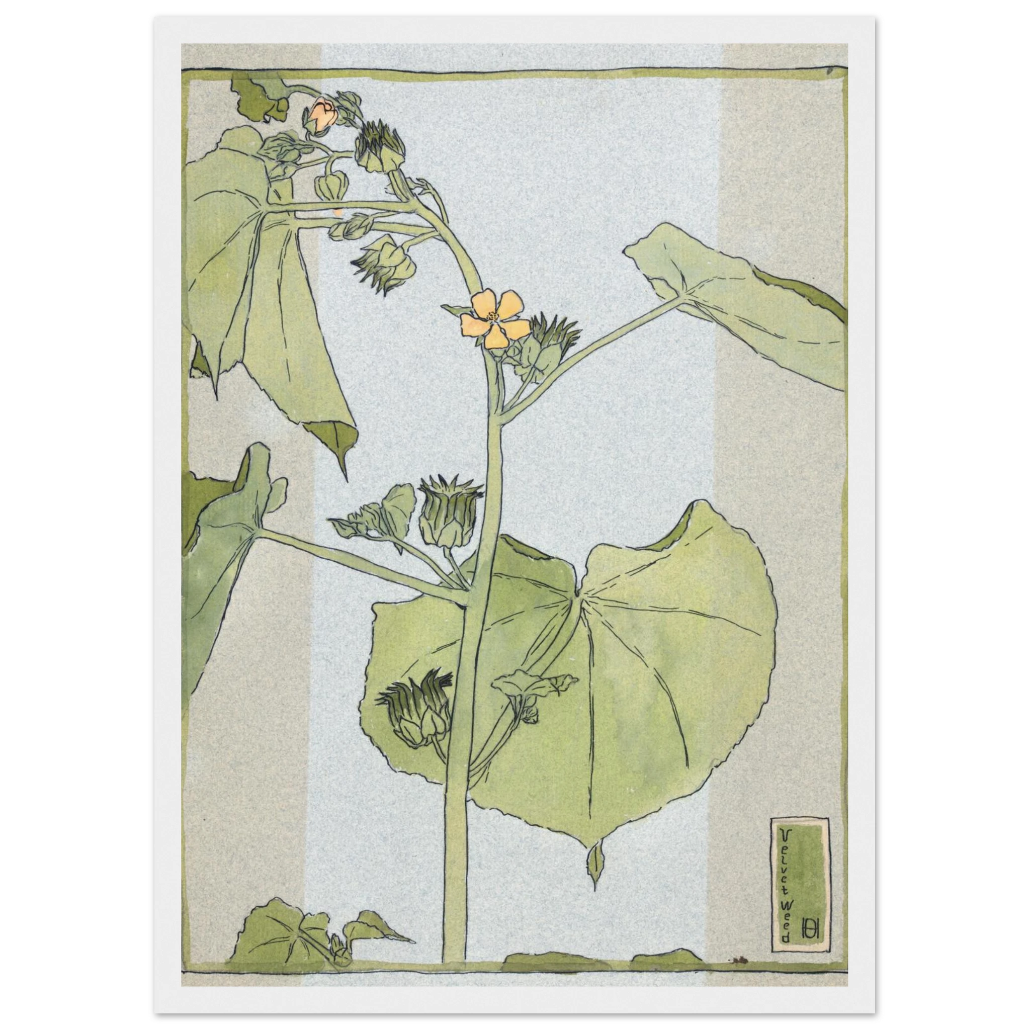 32c84783-8fa4-4a3c-9f54-fd1e6caa1aae