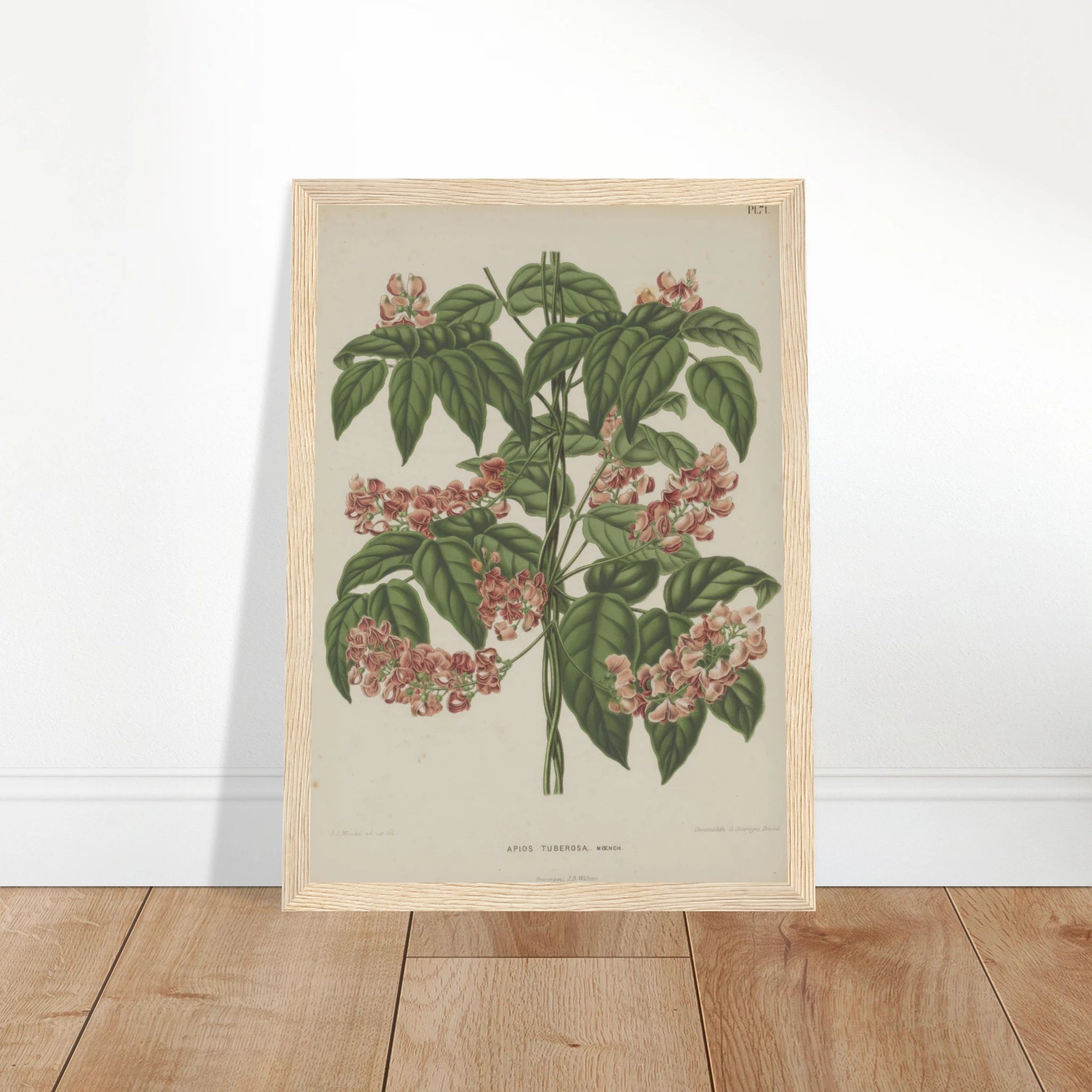 32d63541-9c25-4ad9-b15c-705ff6a3af6b