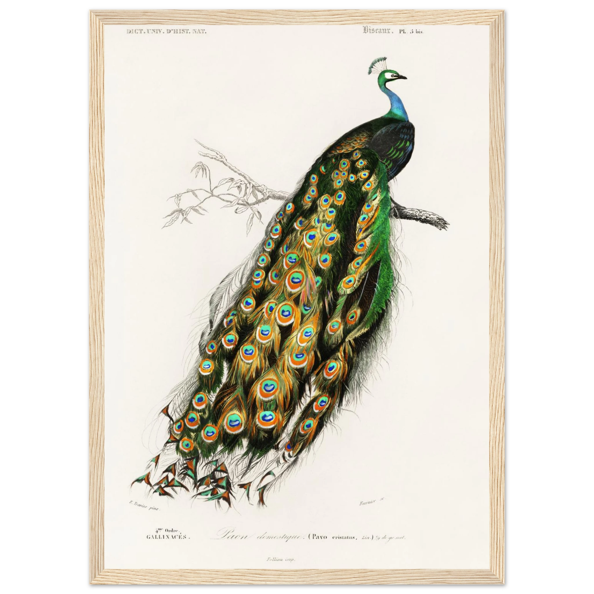 32f09a4a-b1e1-4ee4-ad8d-5f7e80ff448e