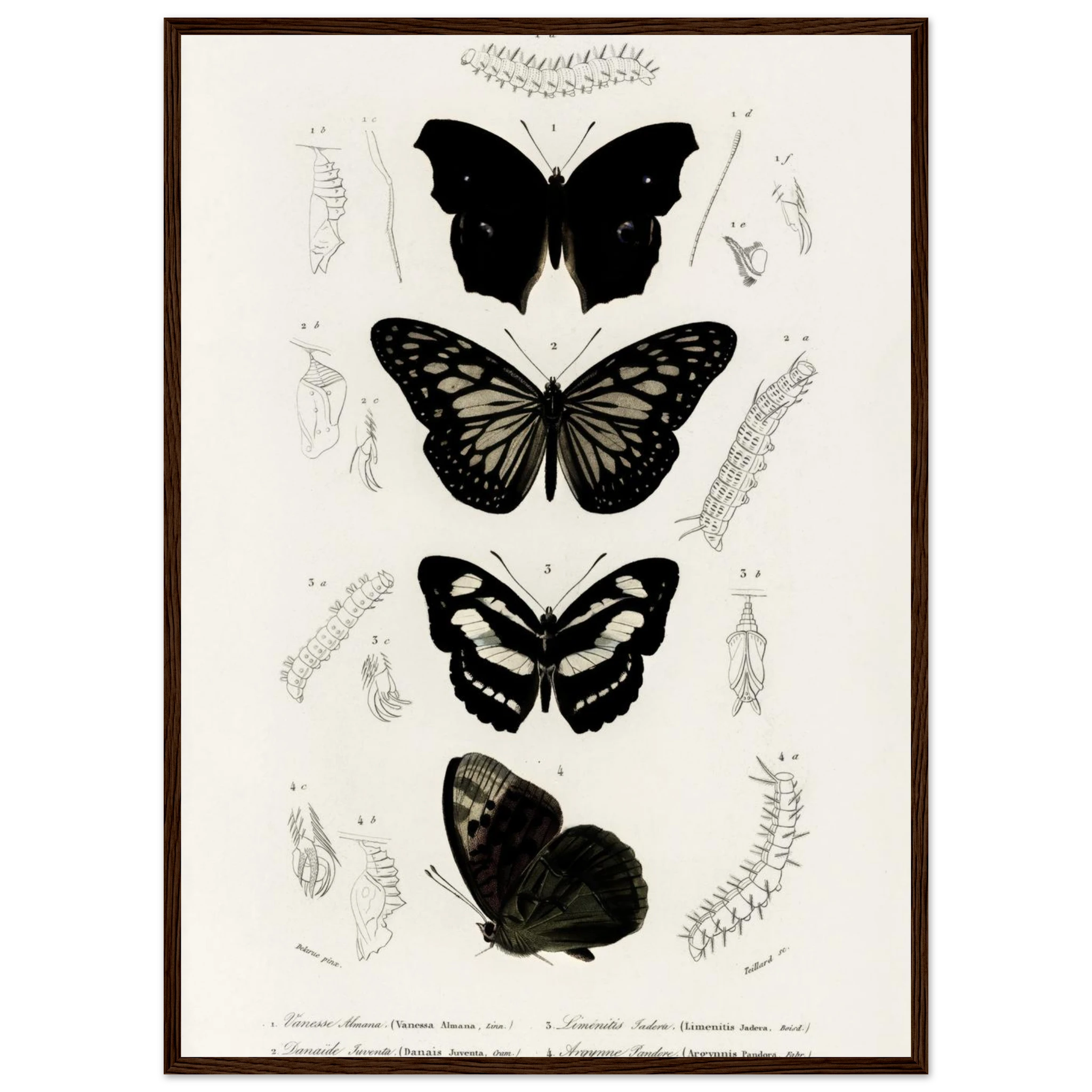 3306ac0a-71f7-4812-8297-b71554dff6a9