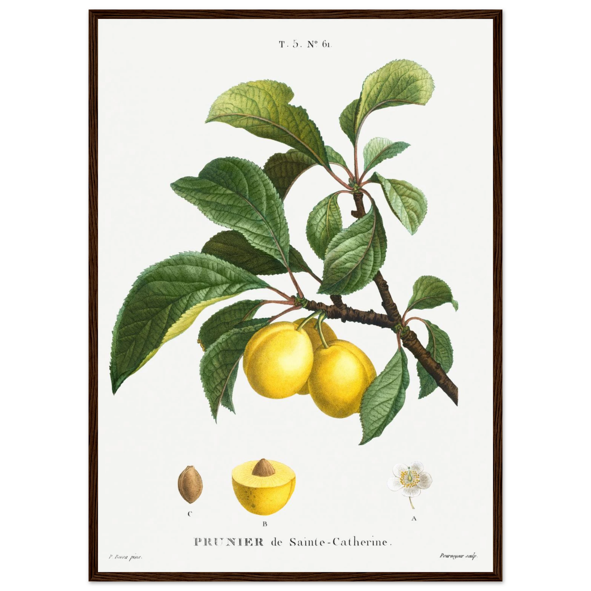 330de226-3b80-418a-902d-c127a829e9ff