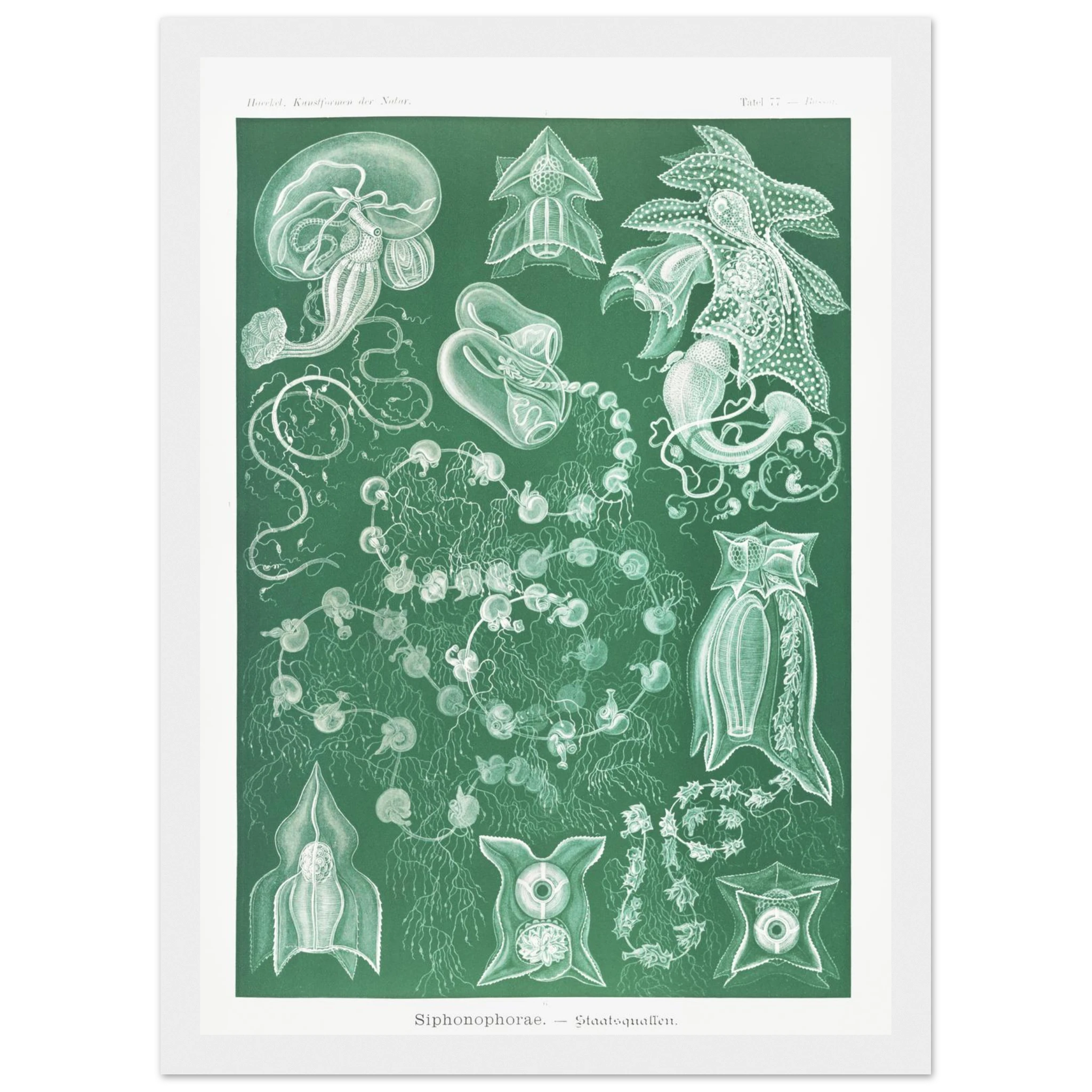 331a3b48-9333-4aa4-976b-f3ae77733ead