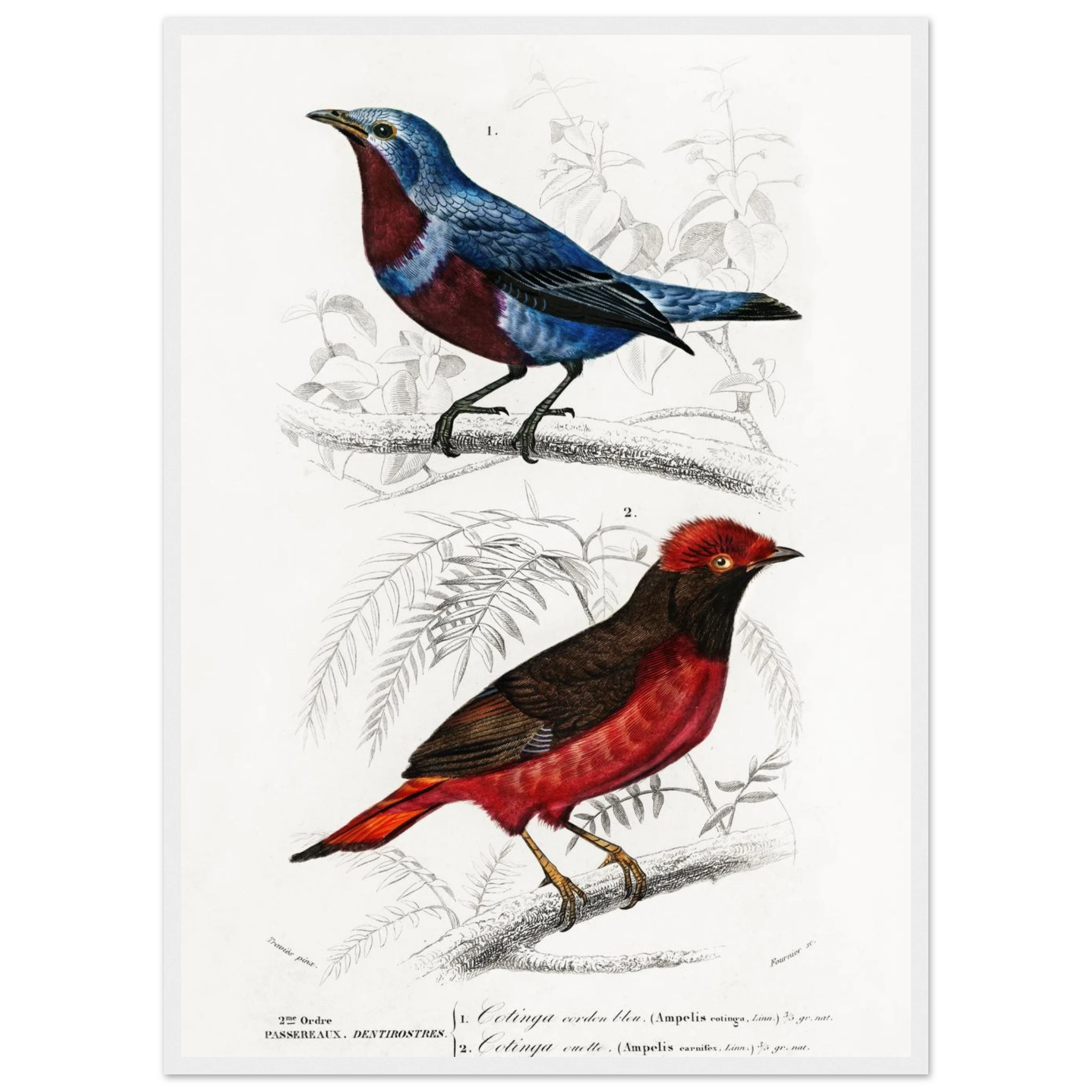 334562ee-464e-4d86-8fac-d63a190d4bc3