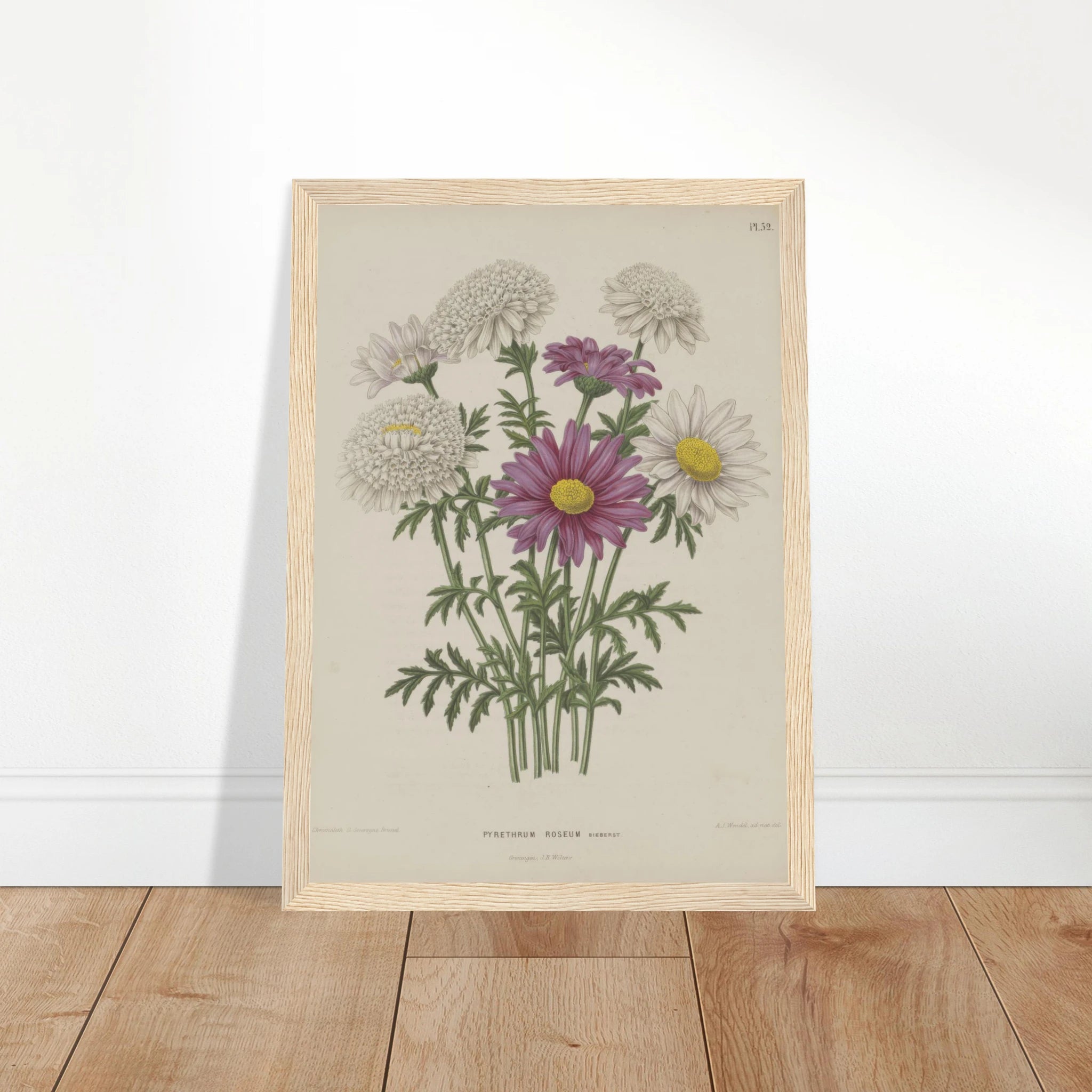 33a48023-8922-4c5f-b4b9-1374daa82629