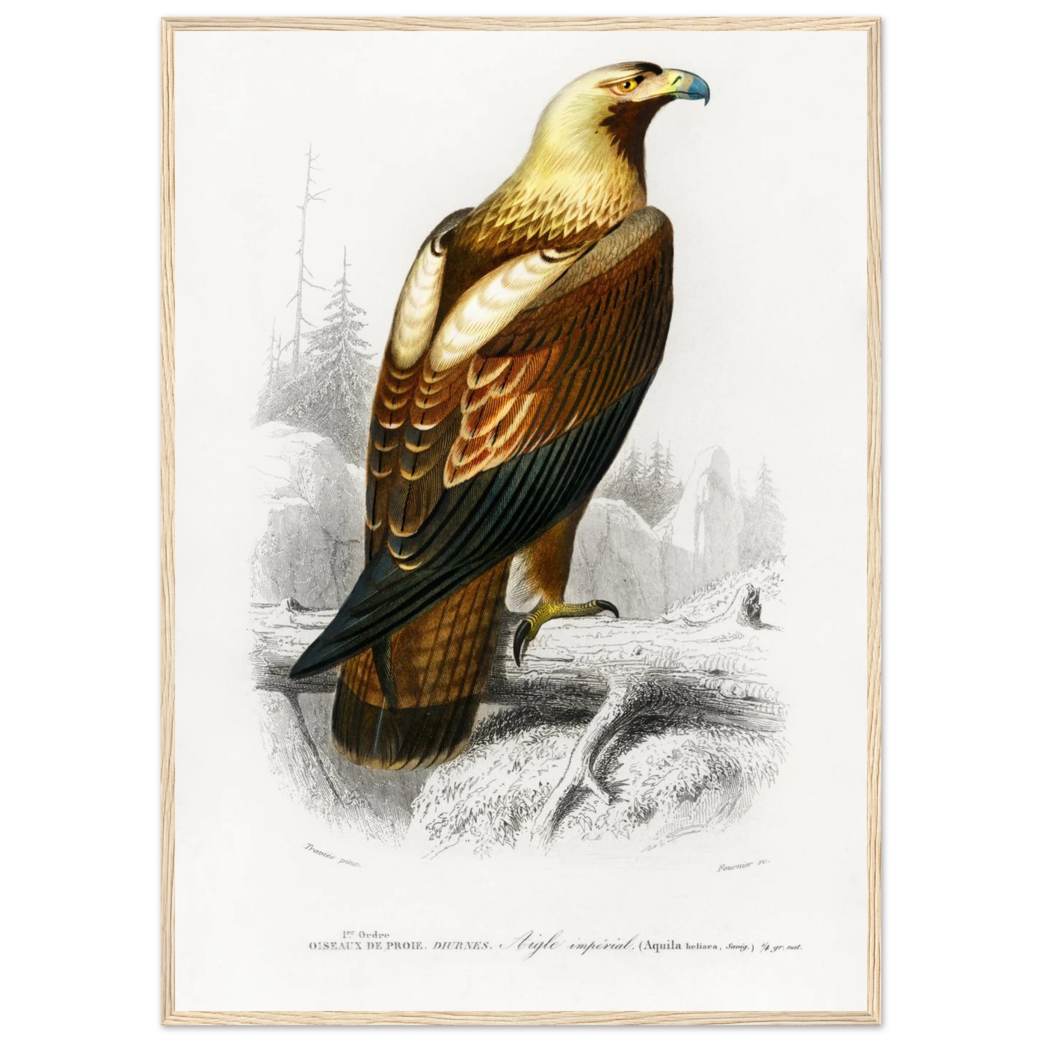 33a686b4-3166-489d-9e8b-1f2d18a507e7