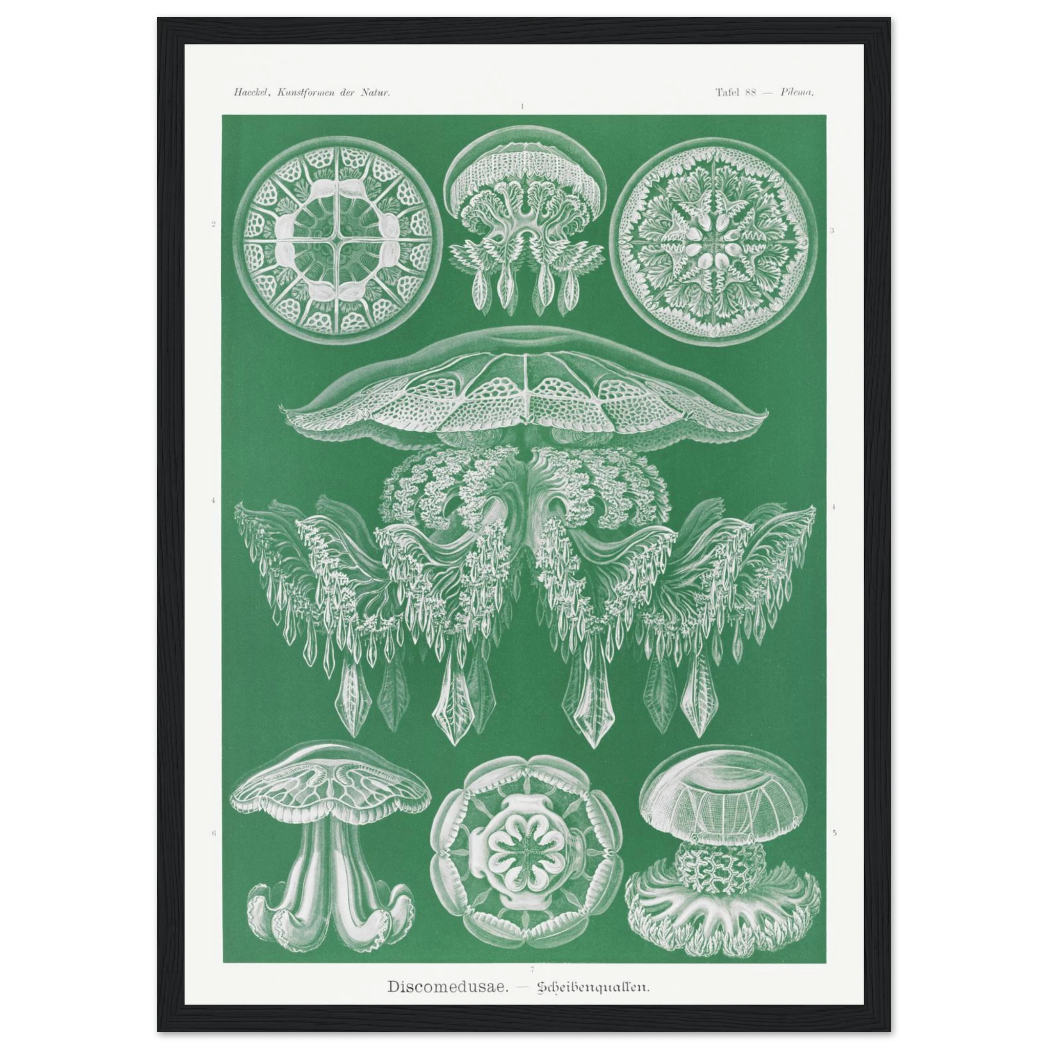 33c33fc2-6332-439e-8d7c-d724b8ce6895