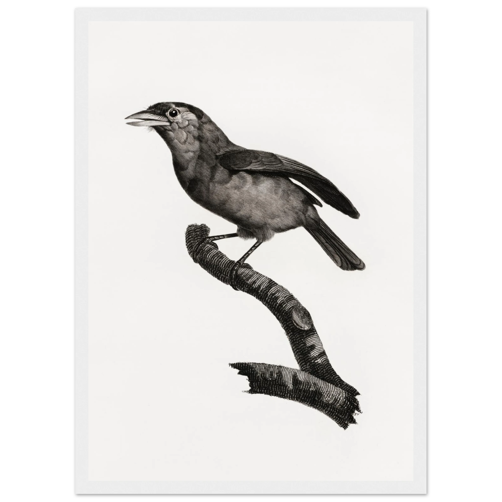 33d5c5ba-bb0f-4aa2-827c-febcb5a1621c