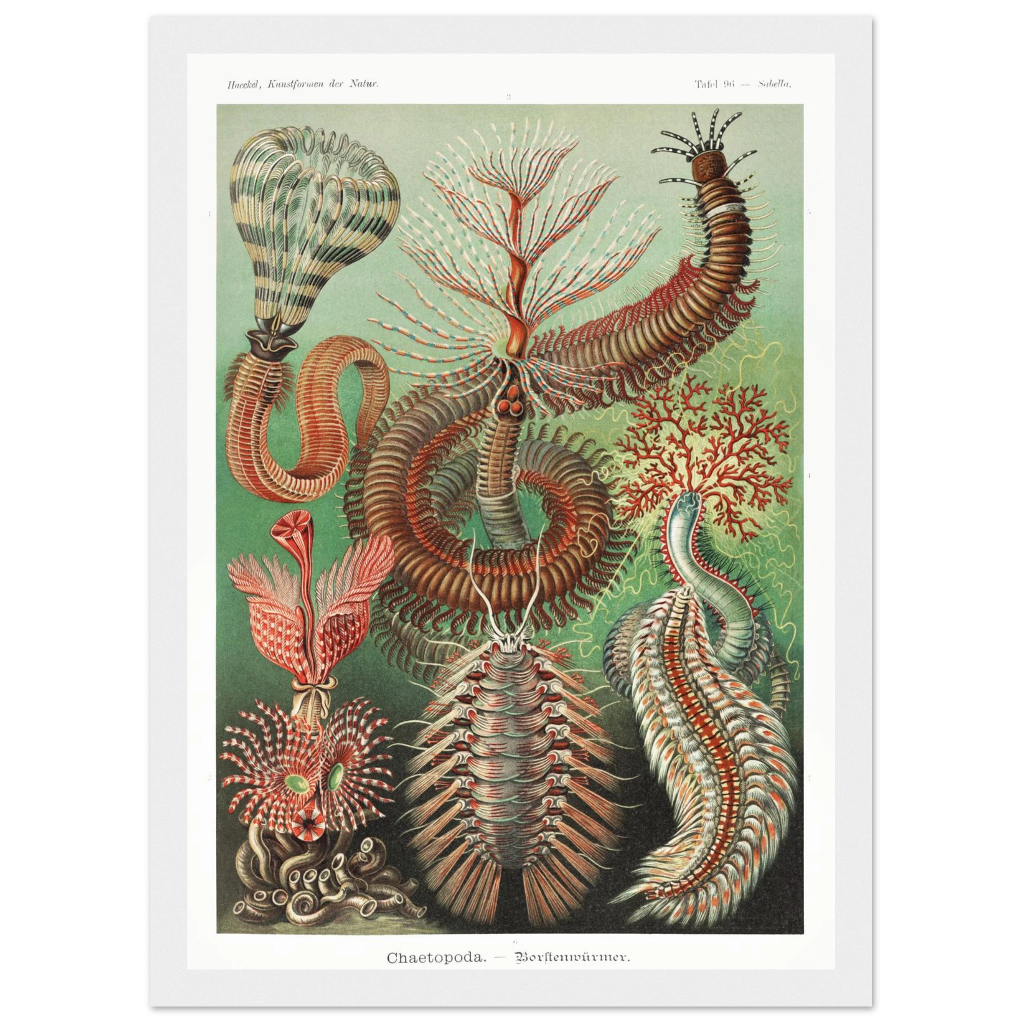 347d15ca-fb73-4c5f-aba6-e16fa8d2f5c2