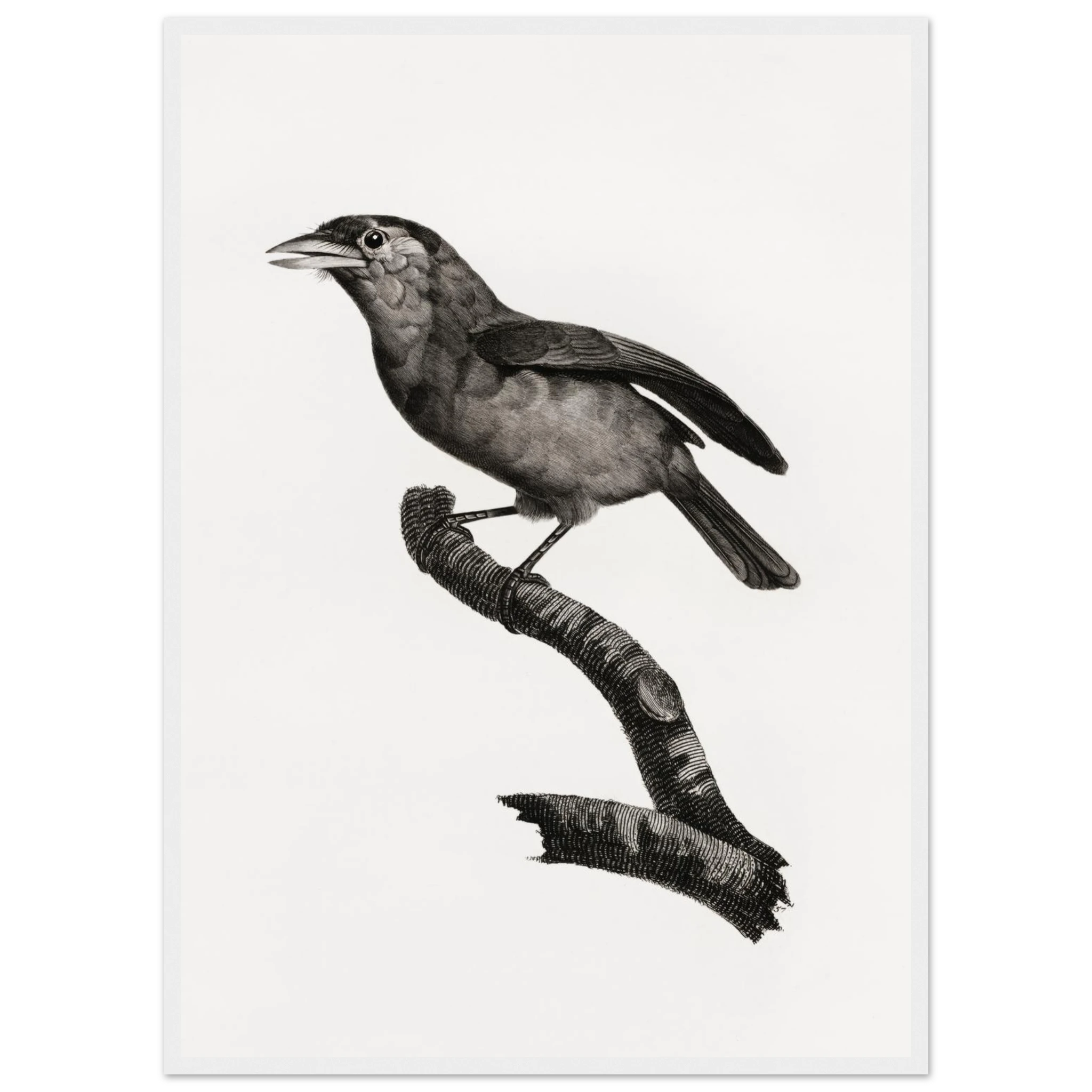 3483813c-c87f-4546-9adc-58973ab8f359