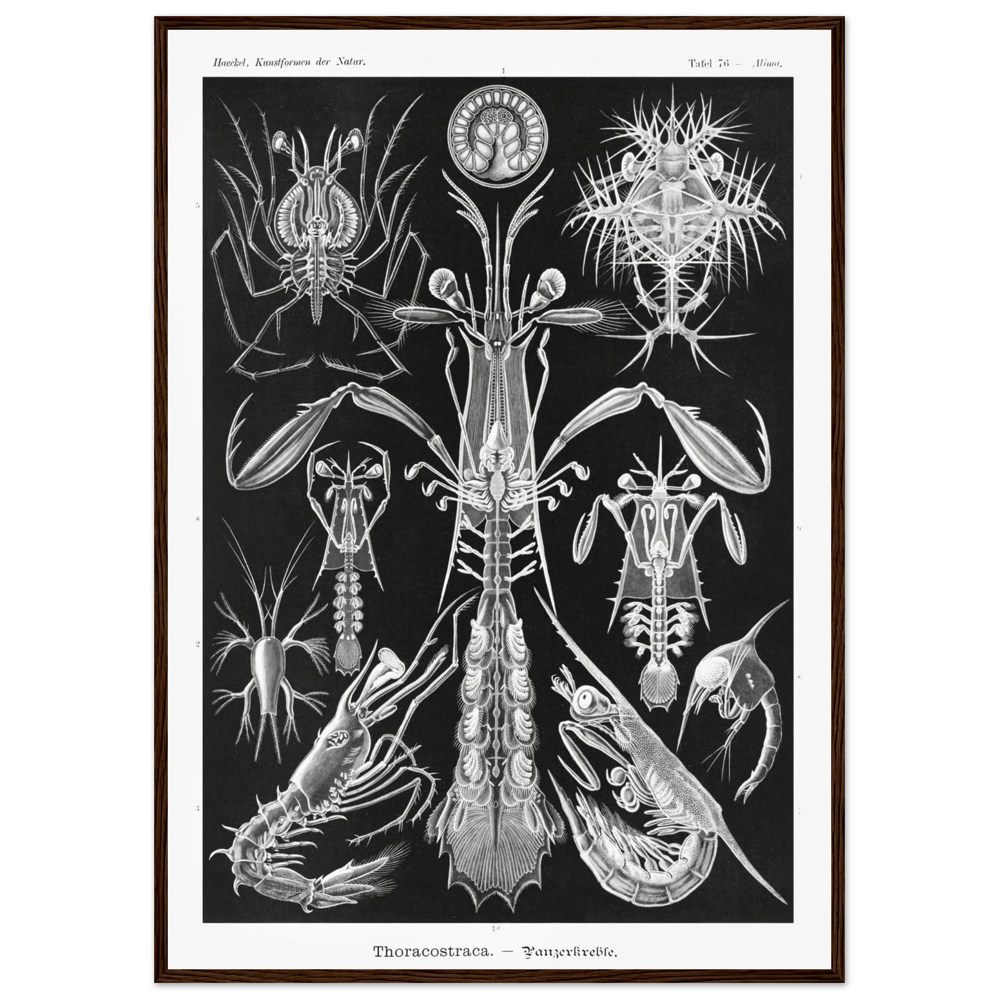 34a2c35f-9eaf-4058-9dc0-77b97115b79c