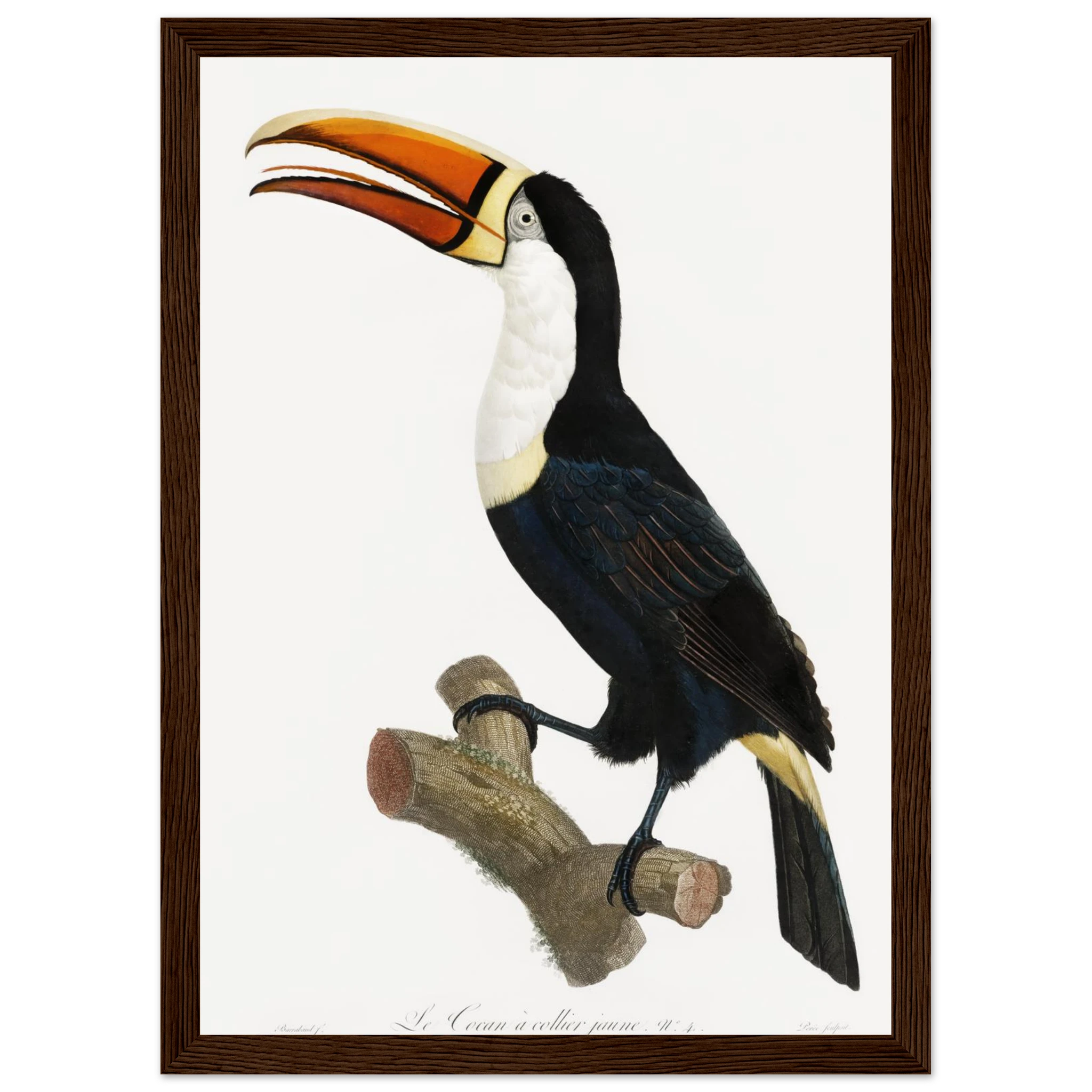 34d5fc23-c48b-4ded-a0c5-bc118379f1bb