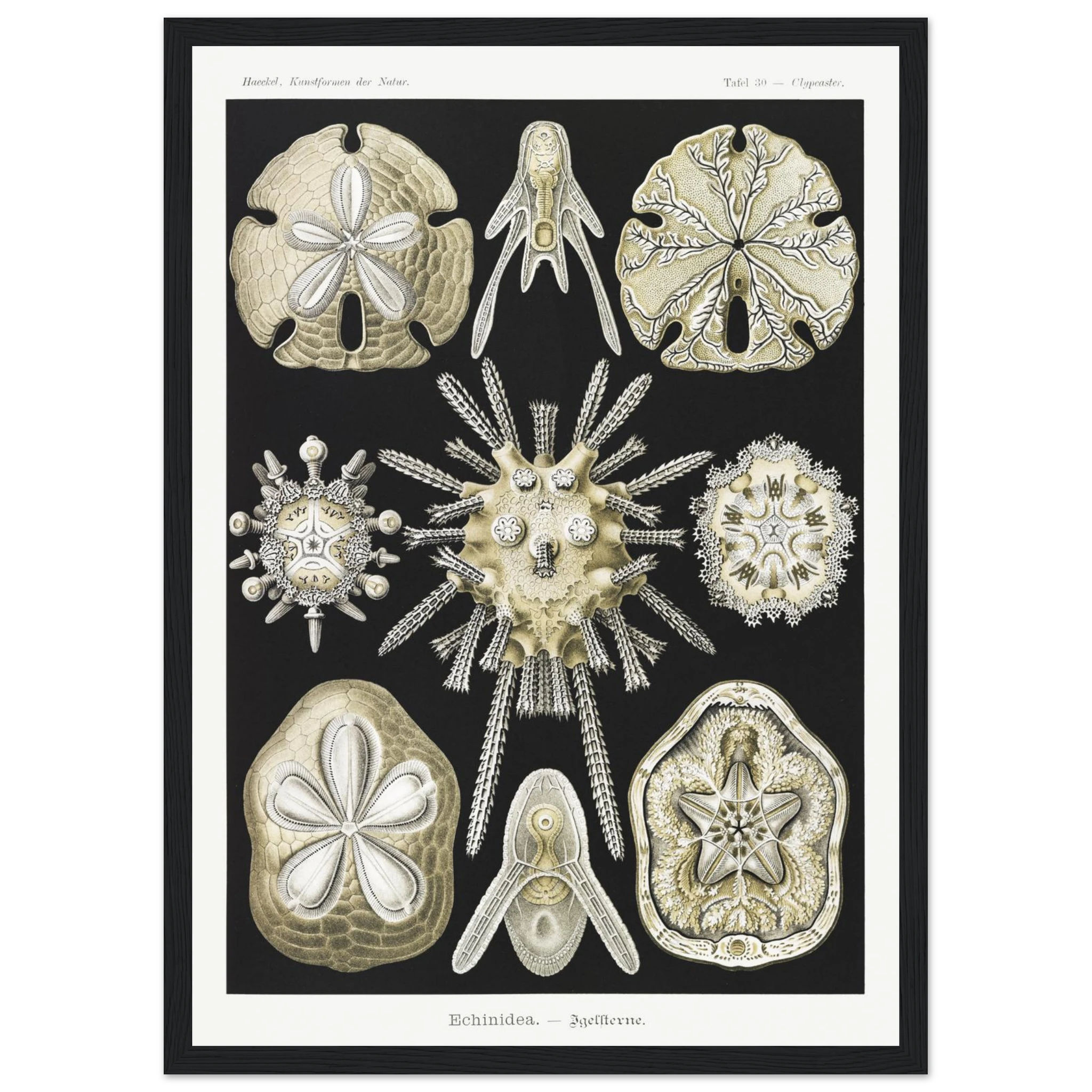 34db7652-440e-4db2-9729-9c08f72831b4