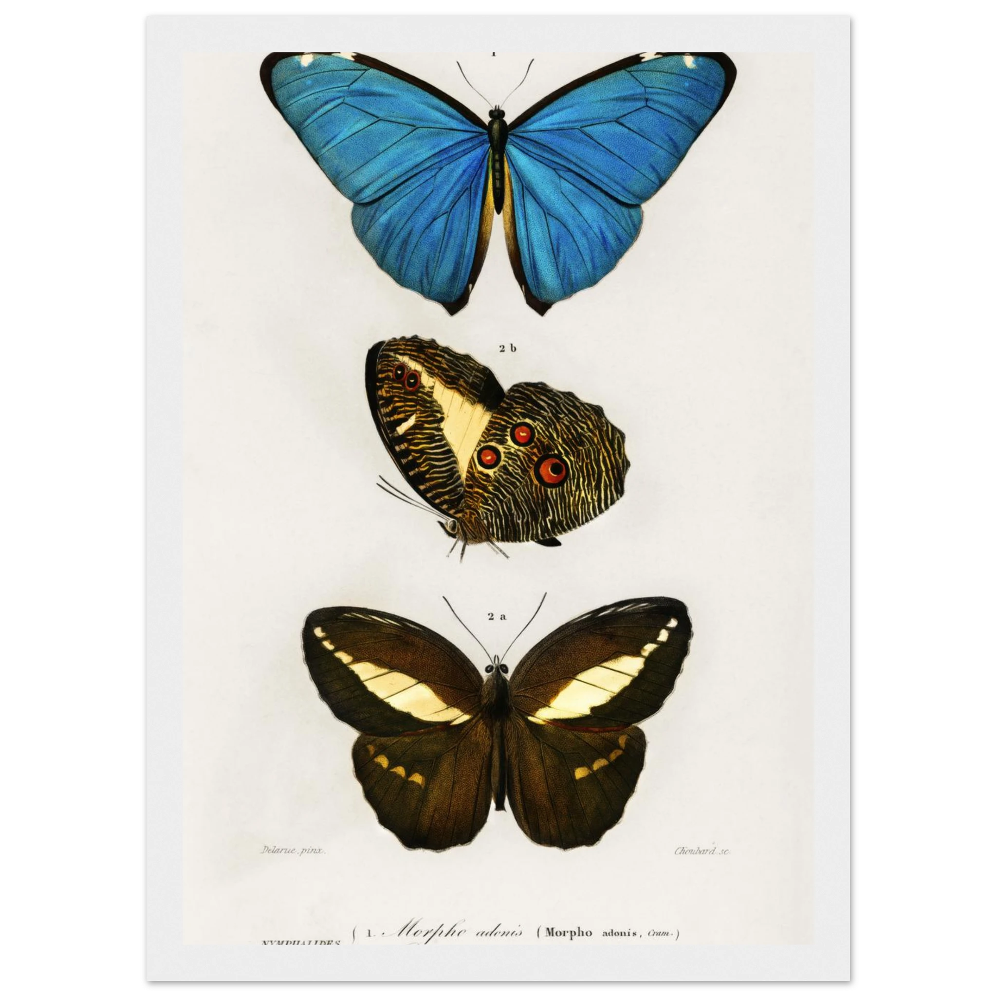 34ef04de-5547-4b04-b704-21b62bbabd8b