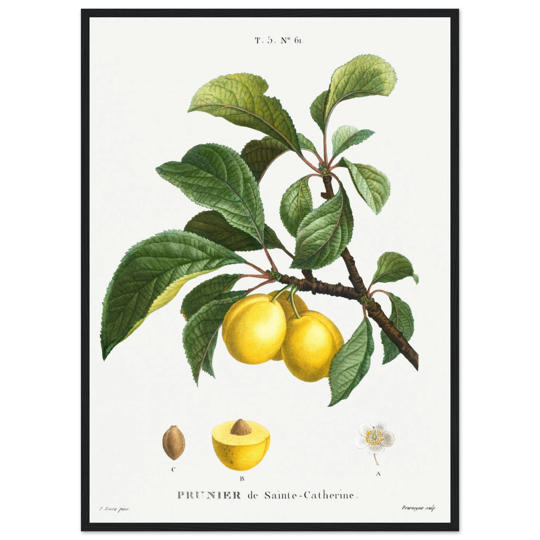 34f2b086-e688-43fa-95d0-4742bebbbf75