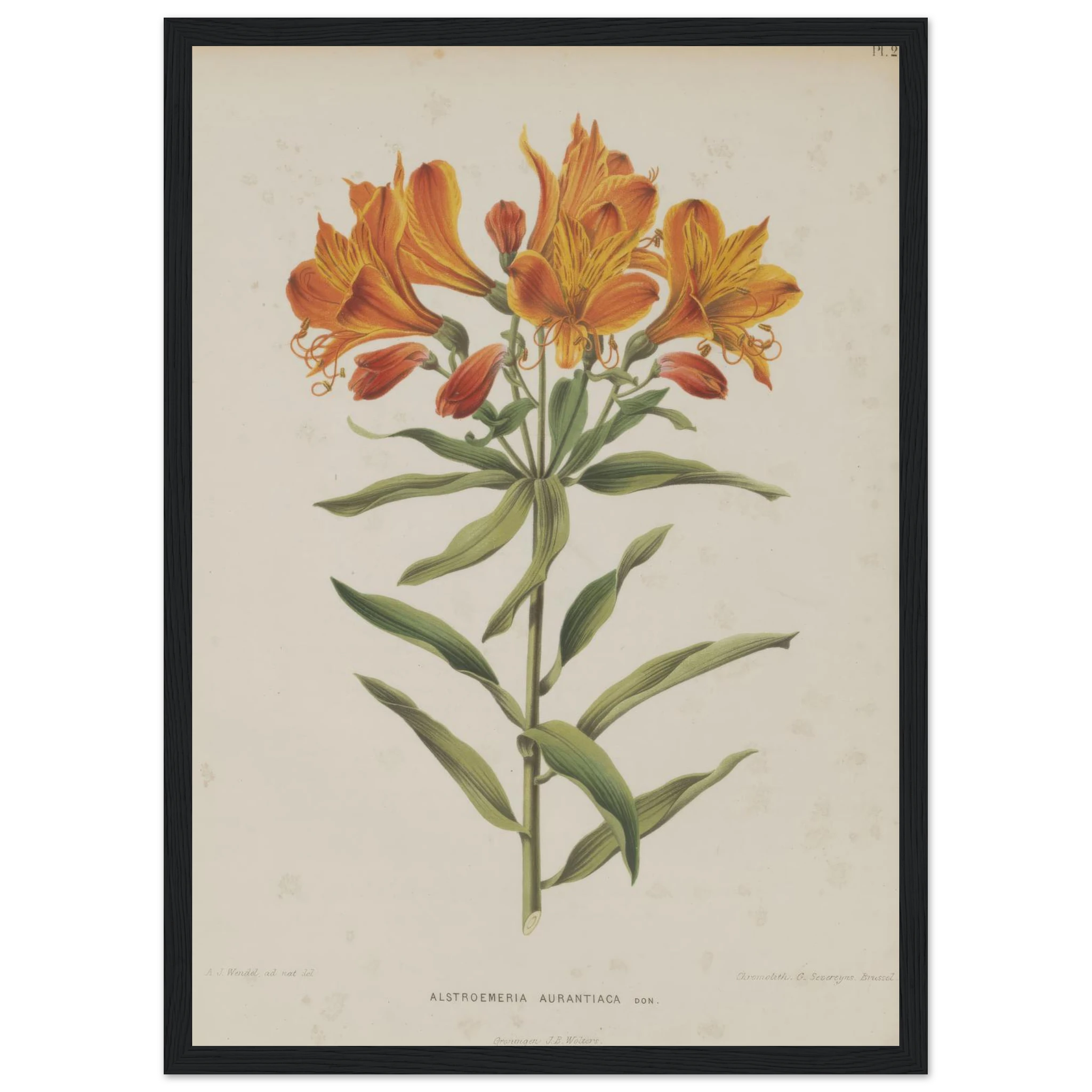 35ddf9cd-ba17-4c36-867a-15f1f99351d2