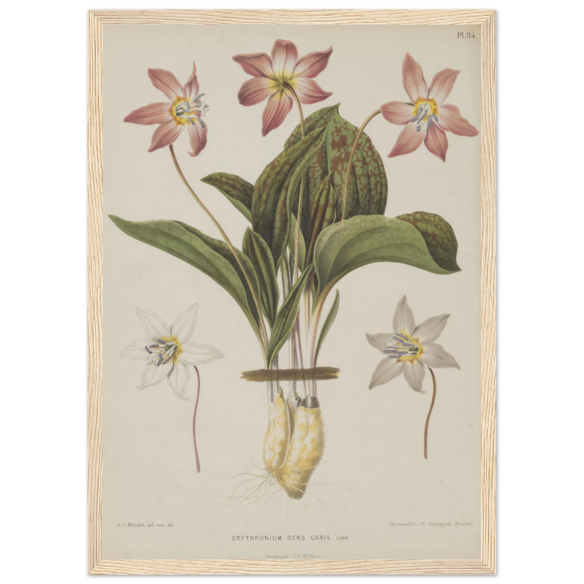 35e8d0b1-1039-4bab-b1cb-28cf12437c8f