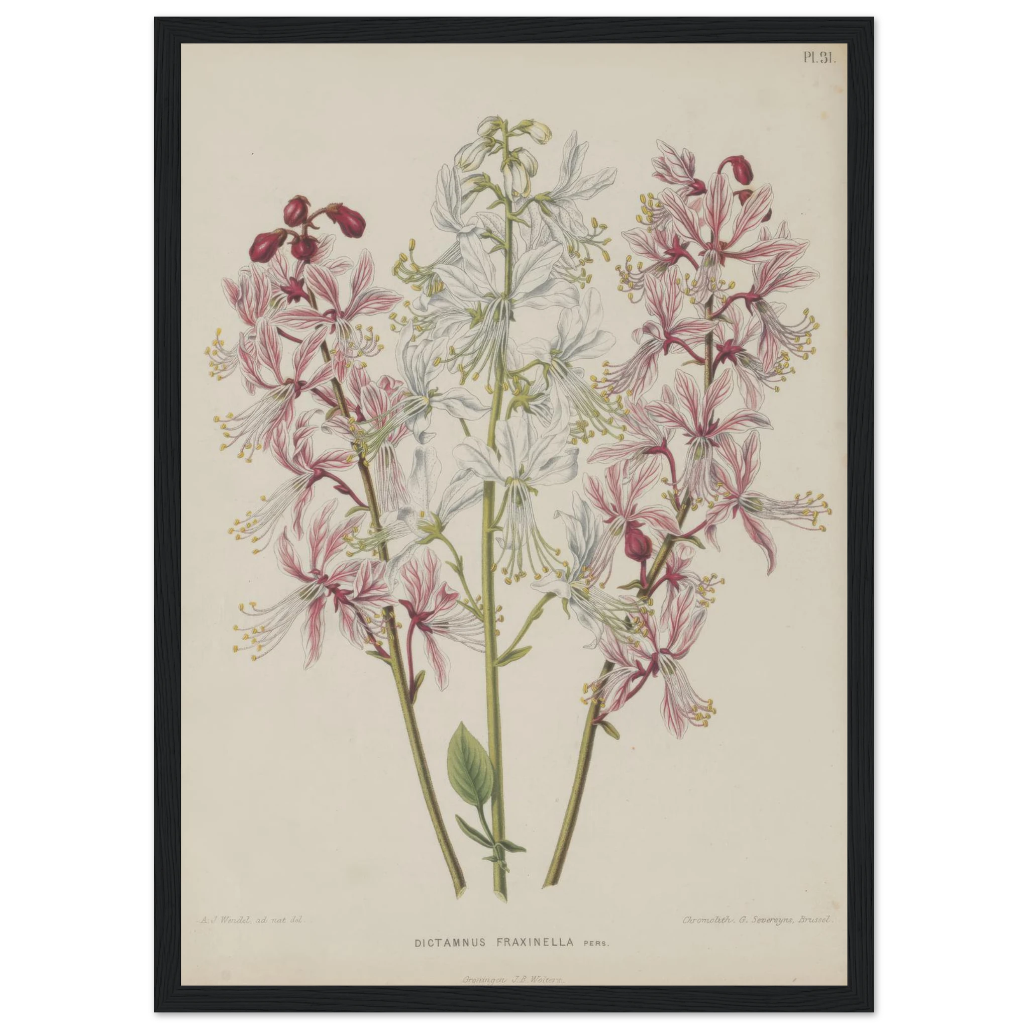 35f80496-0f0c-491a-a41a-8dc425d7ea2e