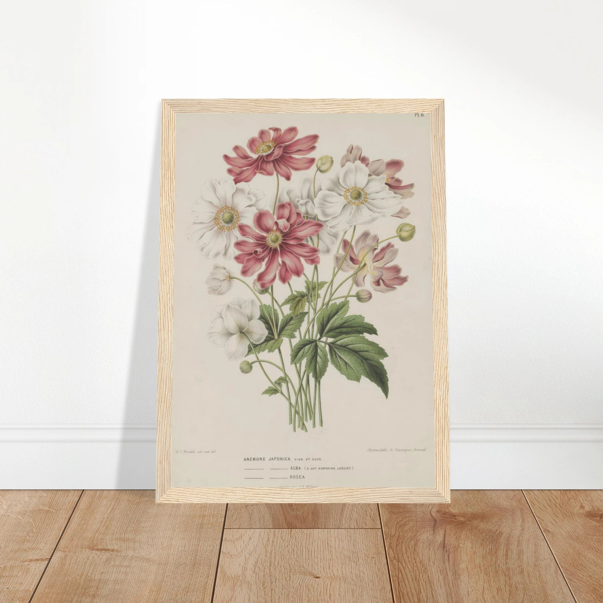 3629af8b-50d4-442d-84dc-8729421c5ee7