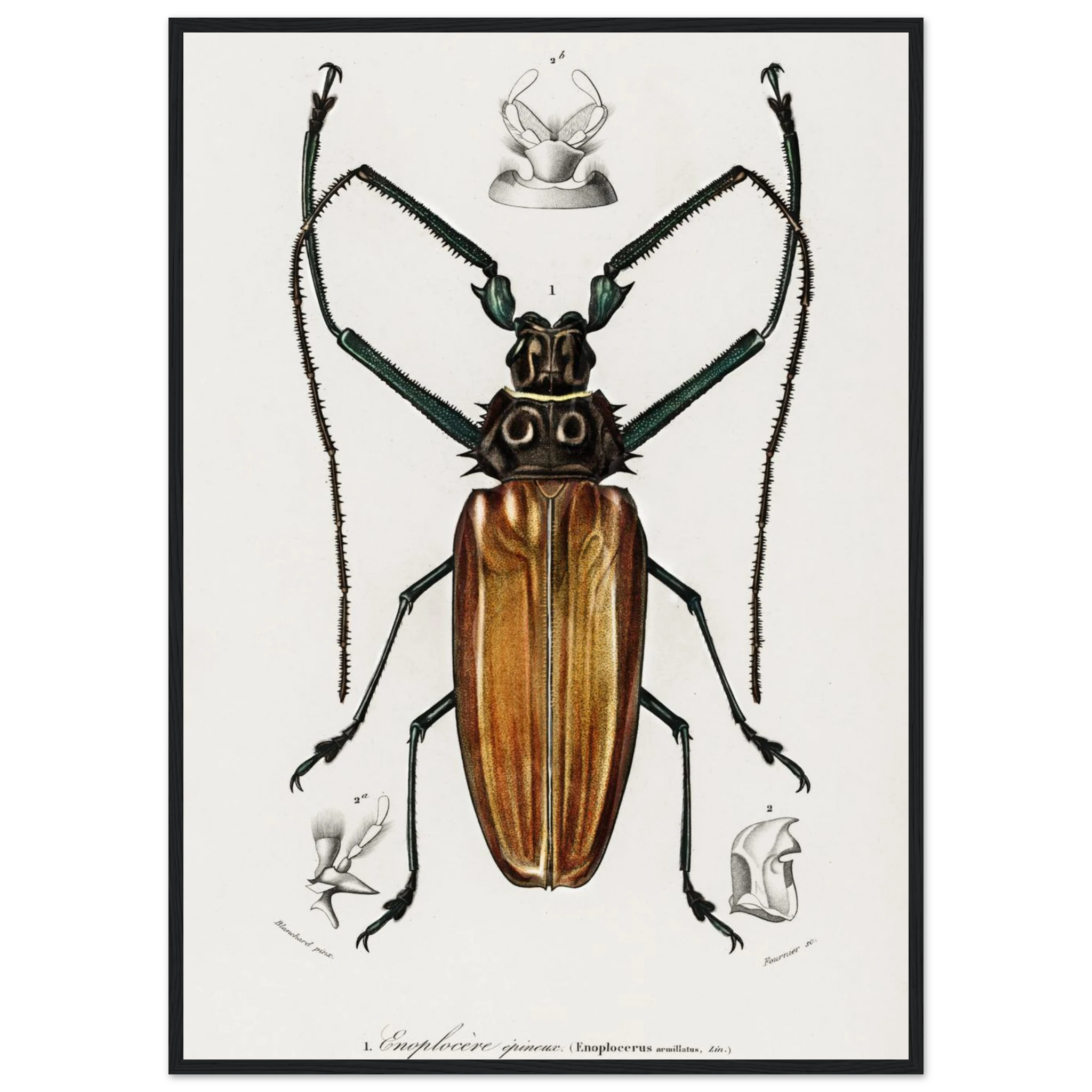 363900e3-c857-4243-80a7-22038281f3f7