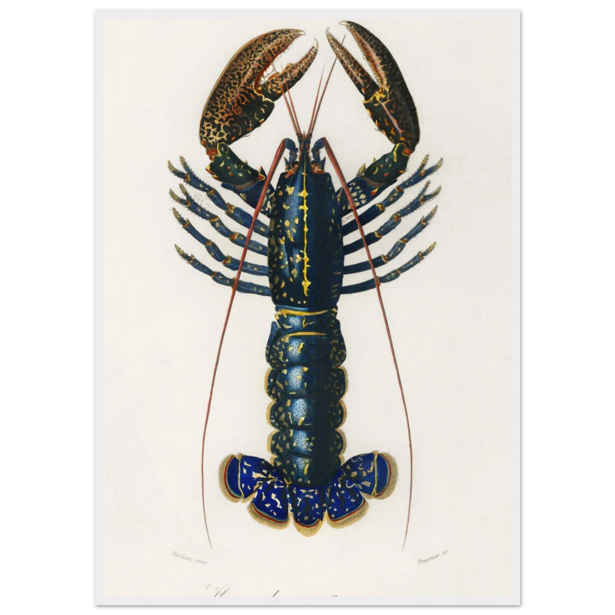 3662fce6-c154-44a3-b04e-a2acb9f622a3