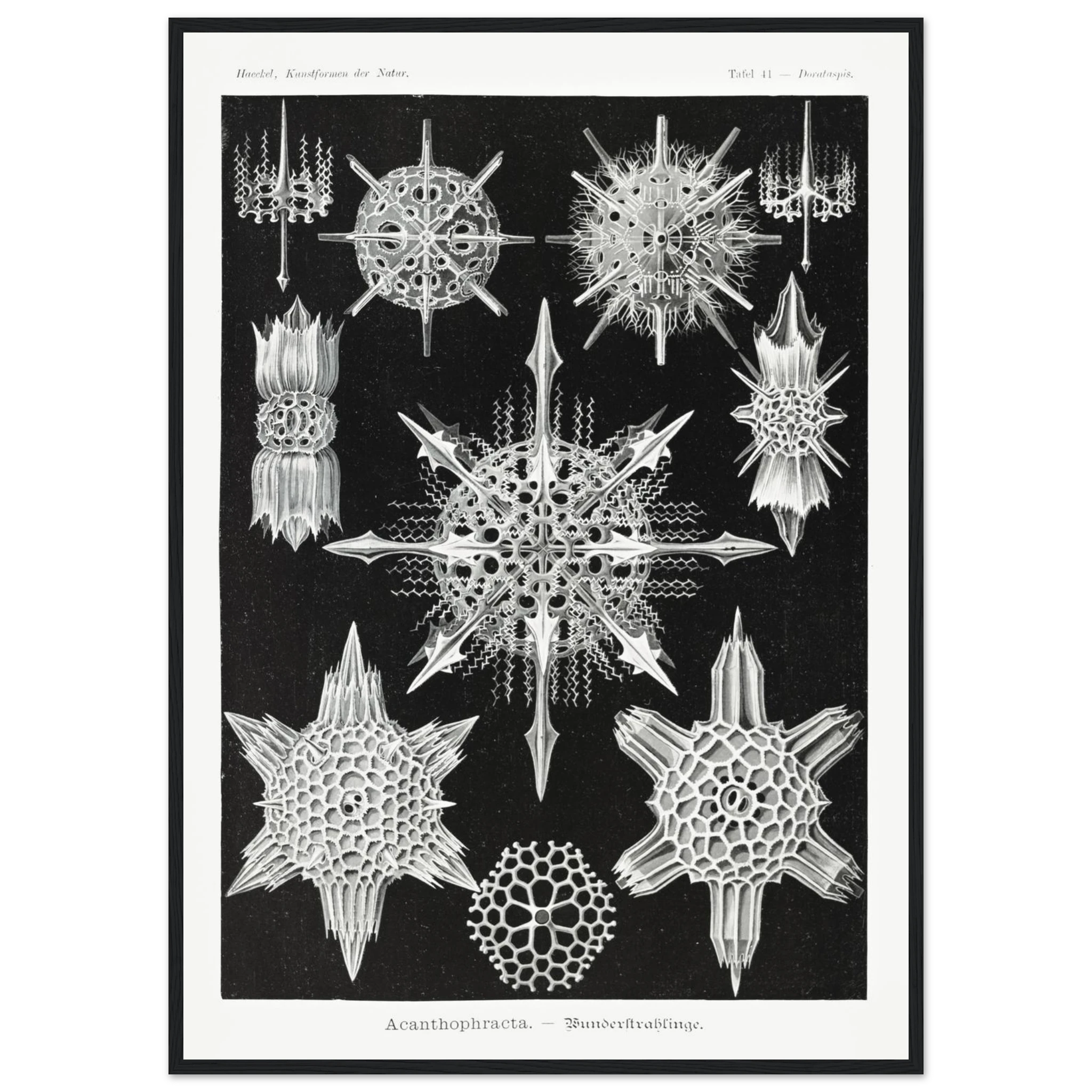 368005d6-9f75-4a03-bd04-6f1cd4304217