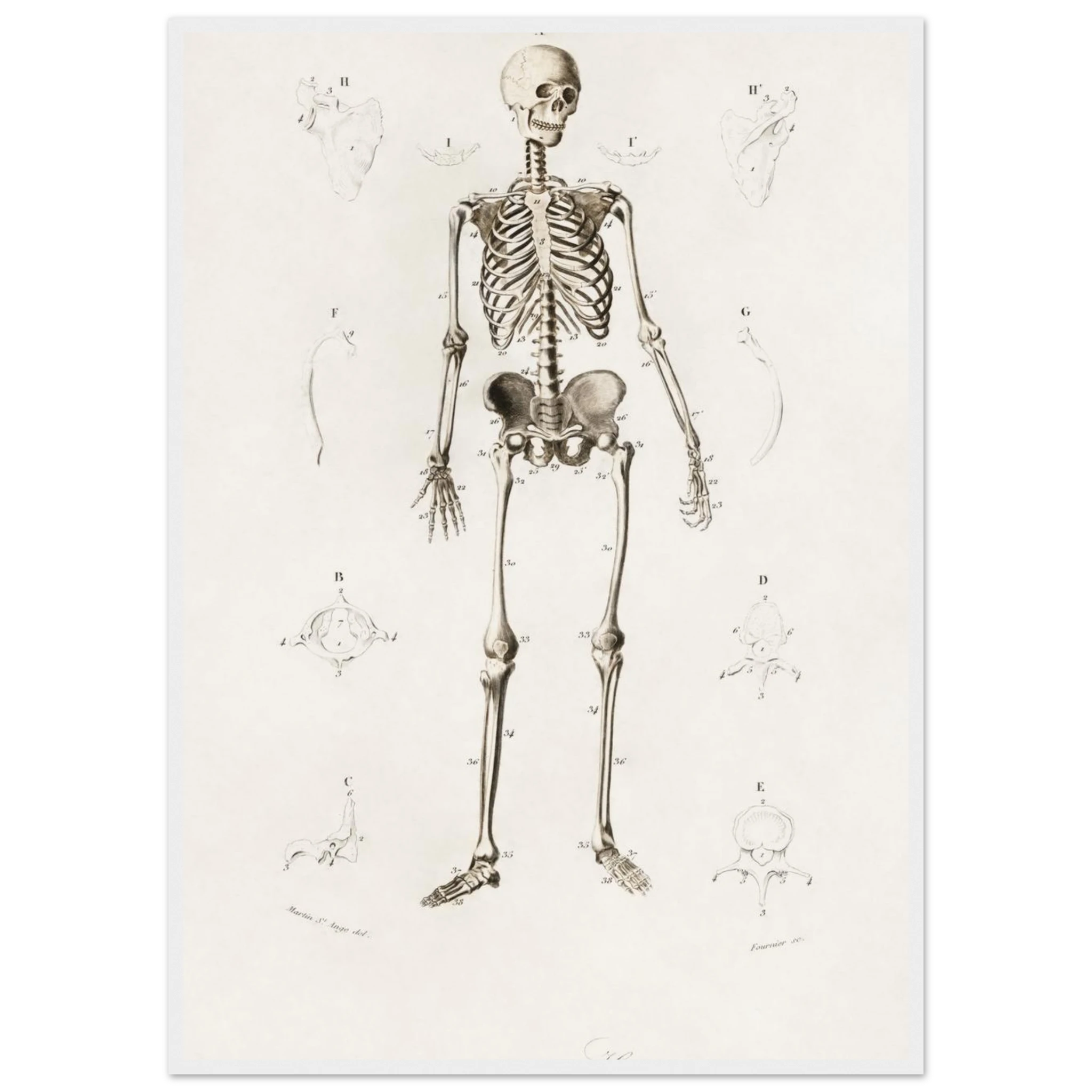 368c1c7e-9f5e-48f3-ae92-7481d7ab8dcb