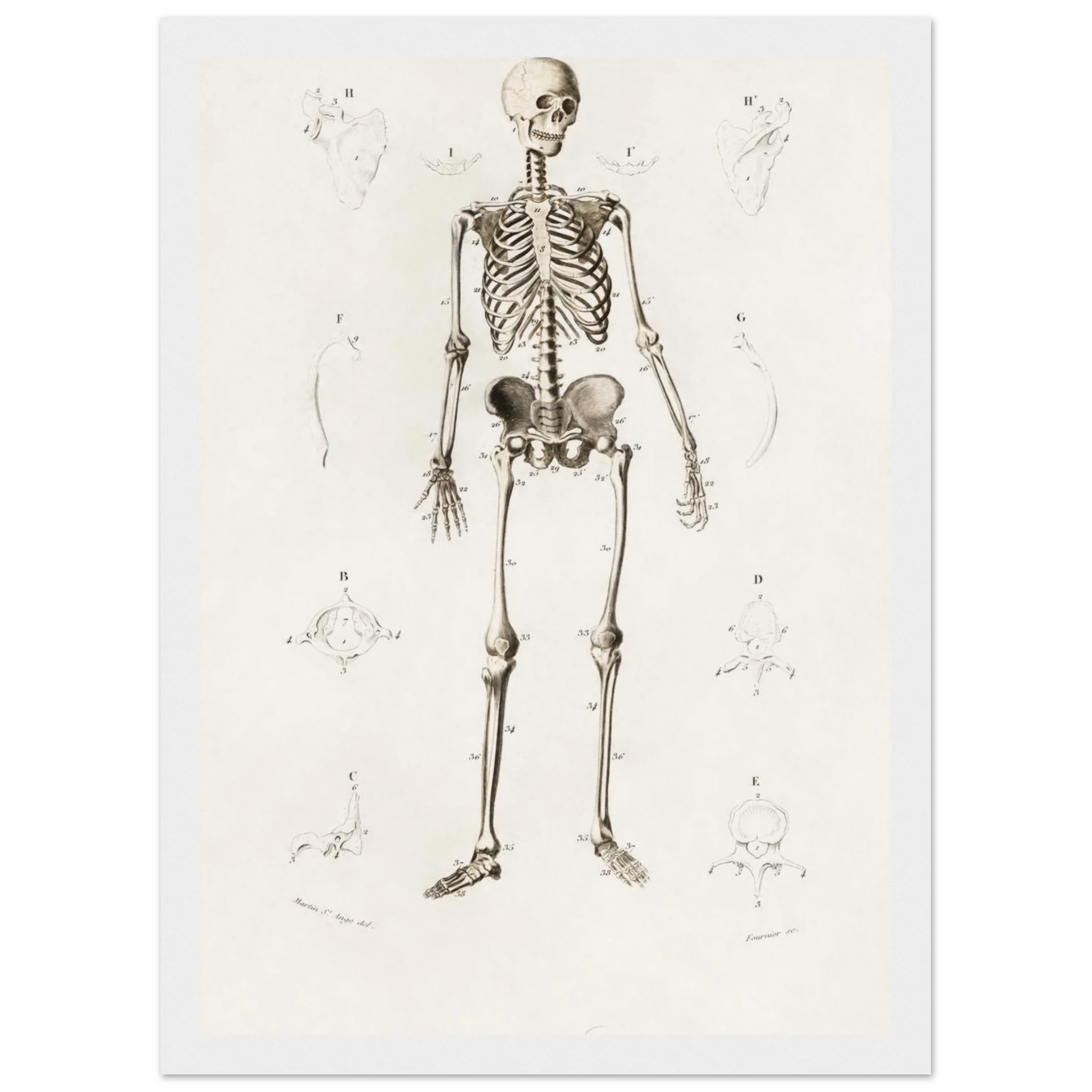 36a93680-7f66-45bf-8489-92366c8dbfa1